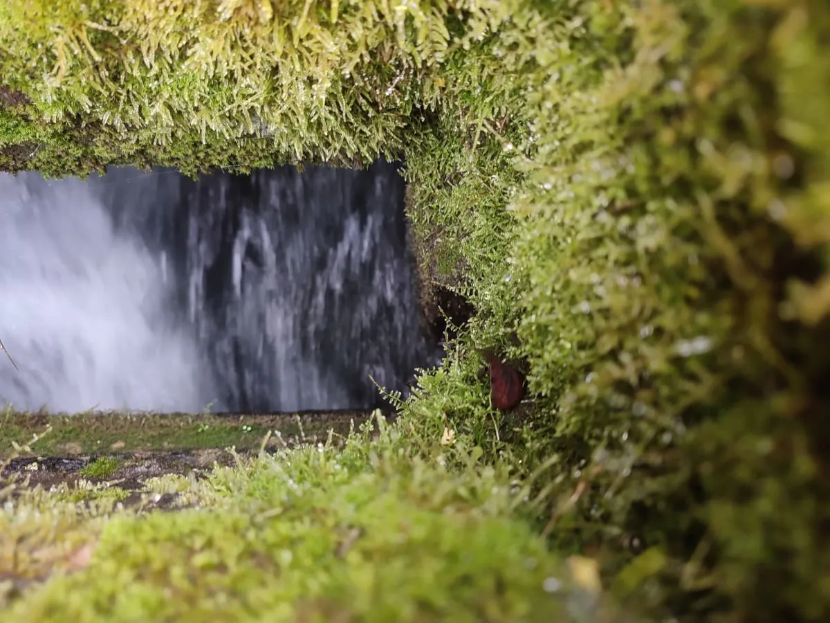 1741381624948_zycvx1