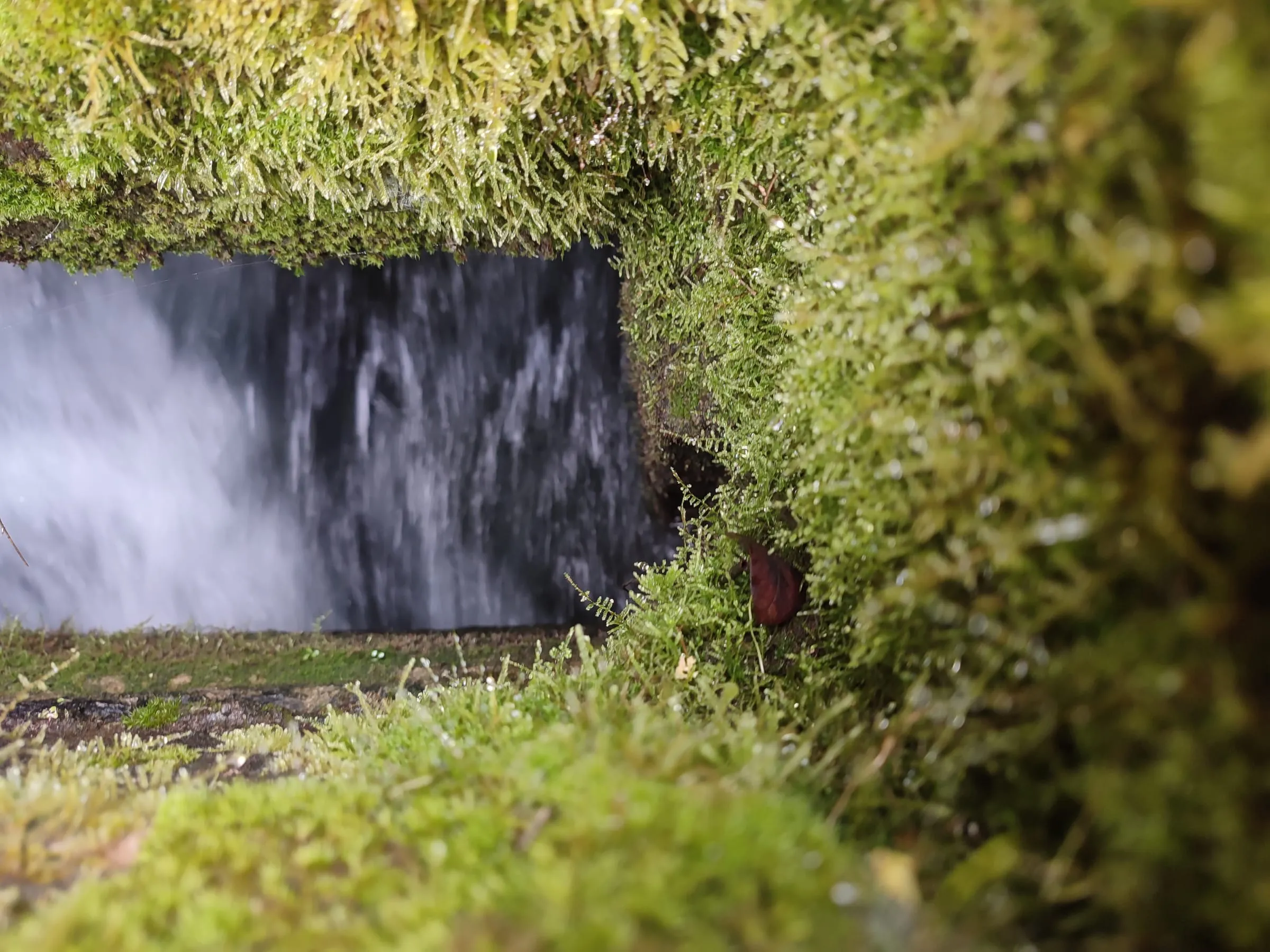 1741381624948_zycvx1