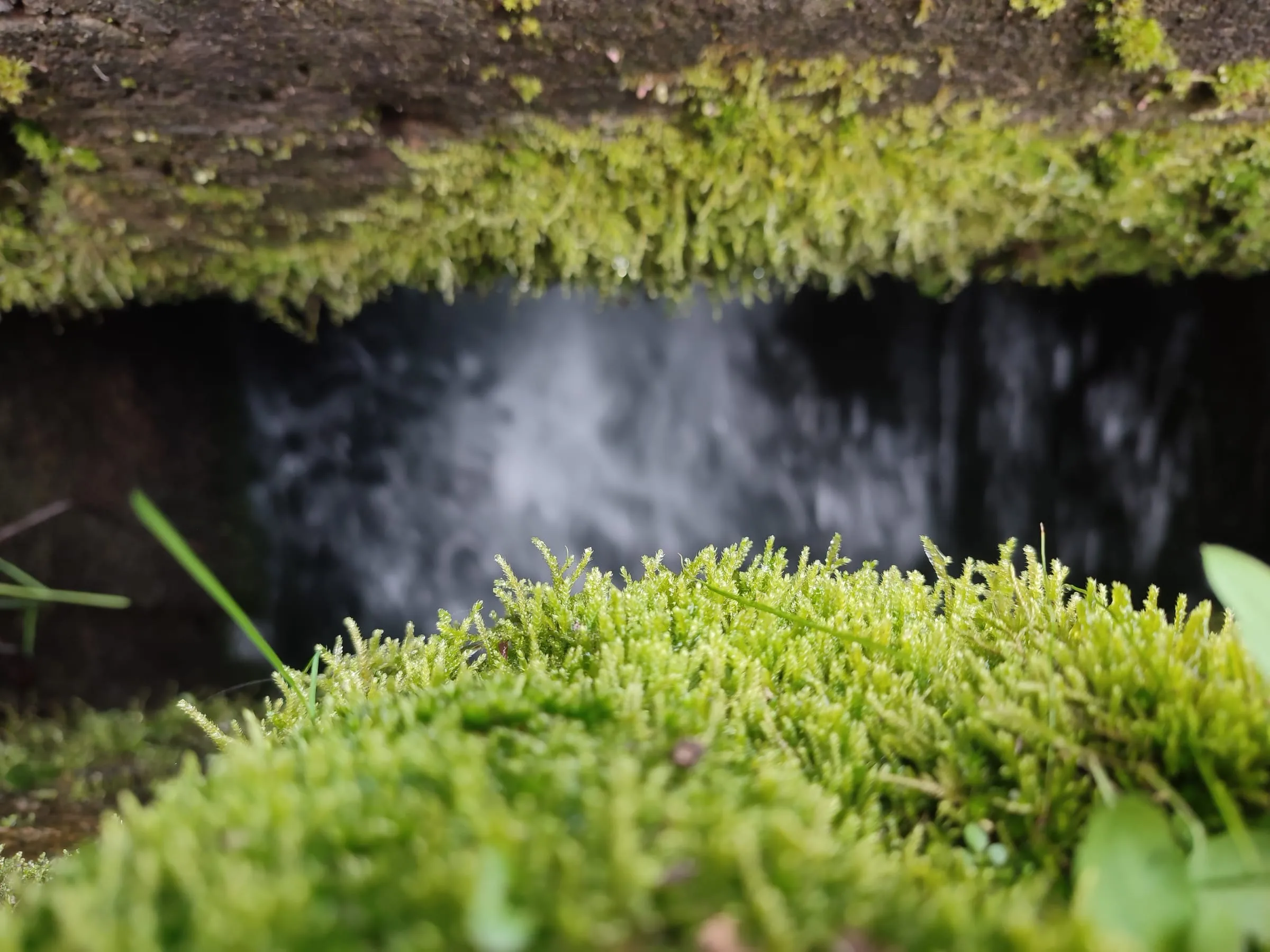 1741381624985_es9mke