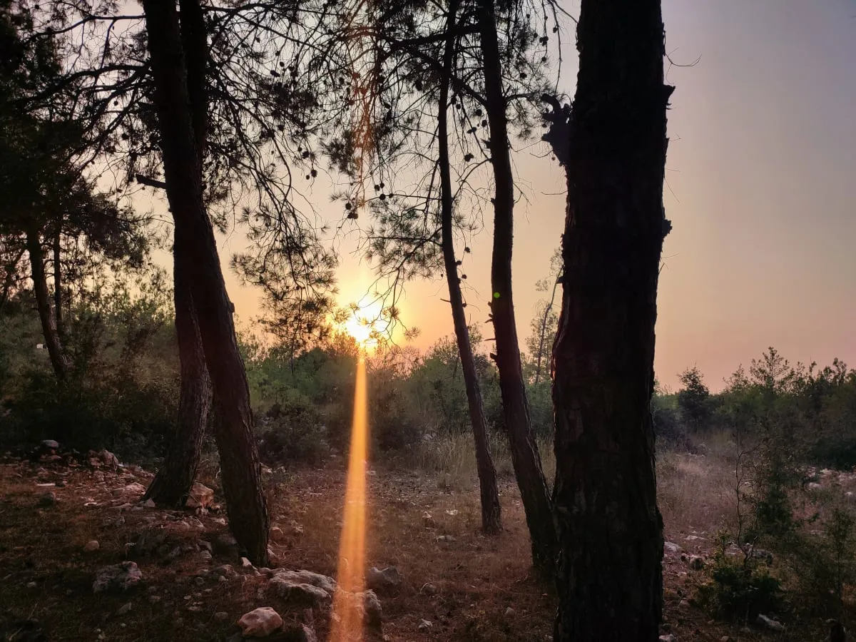 1741382204764_imqby2