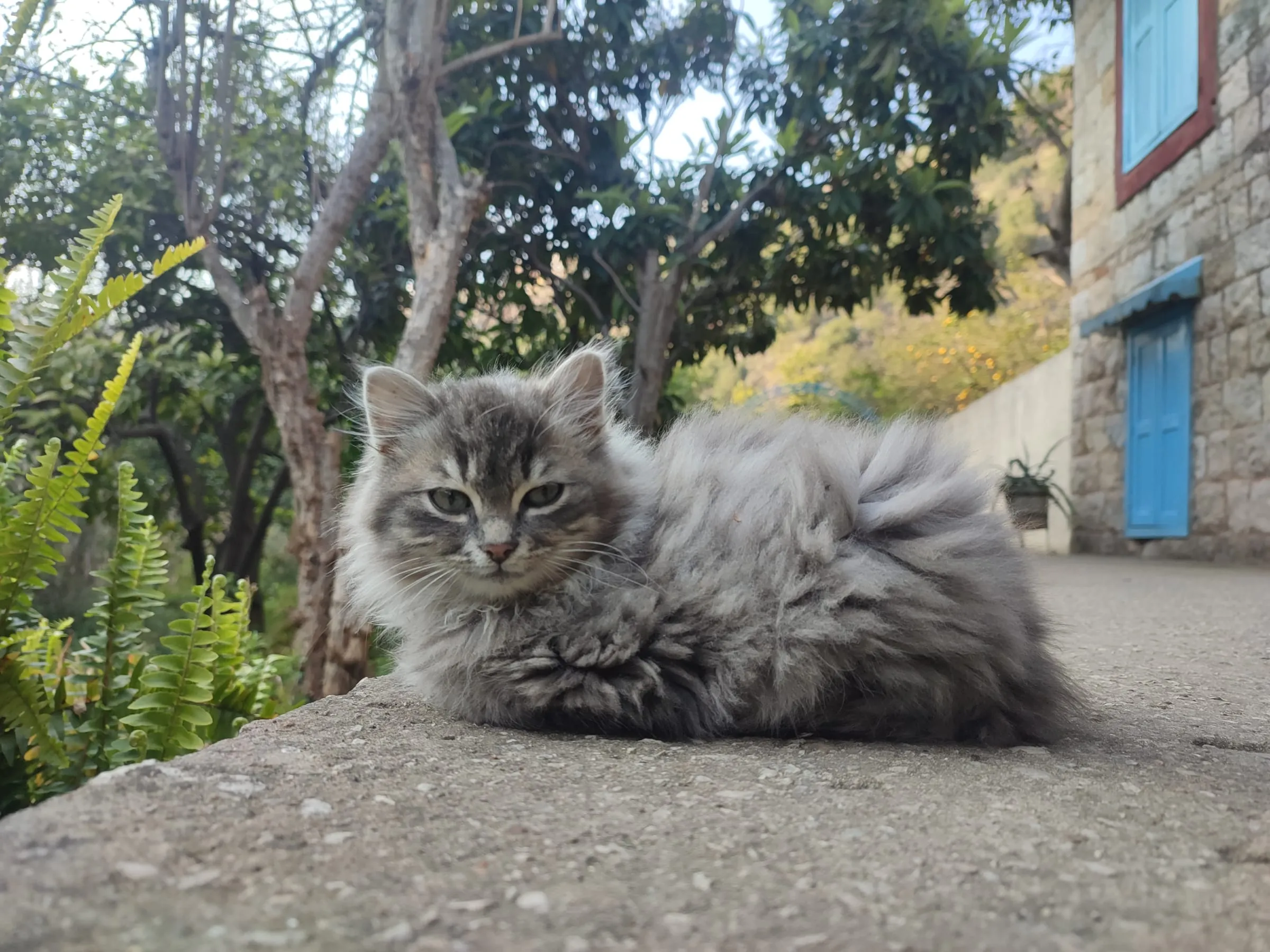 1741762739670_yaqlgl