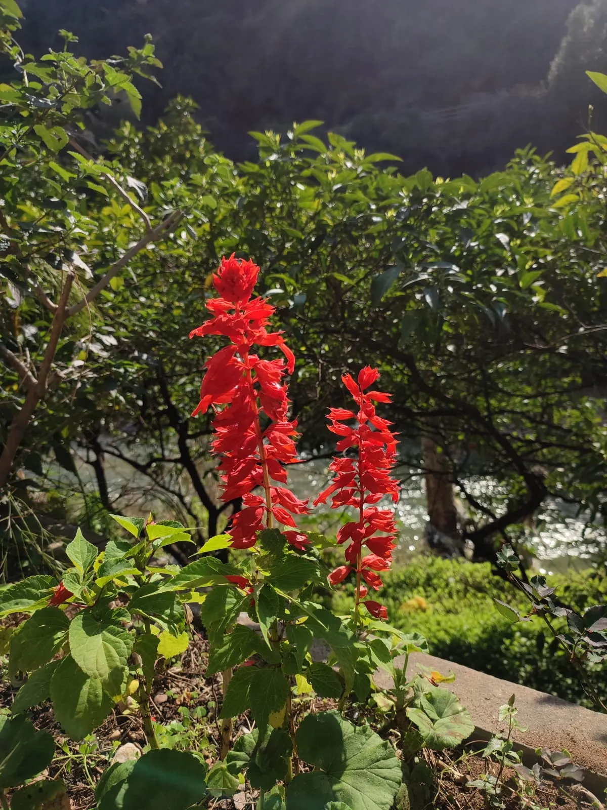 1741762739796_avm01m