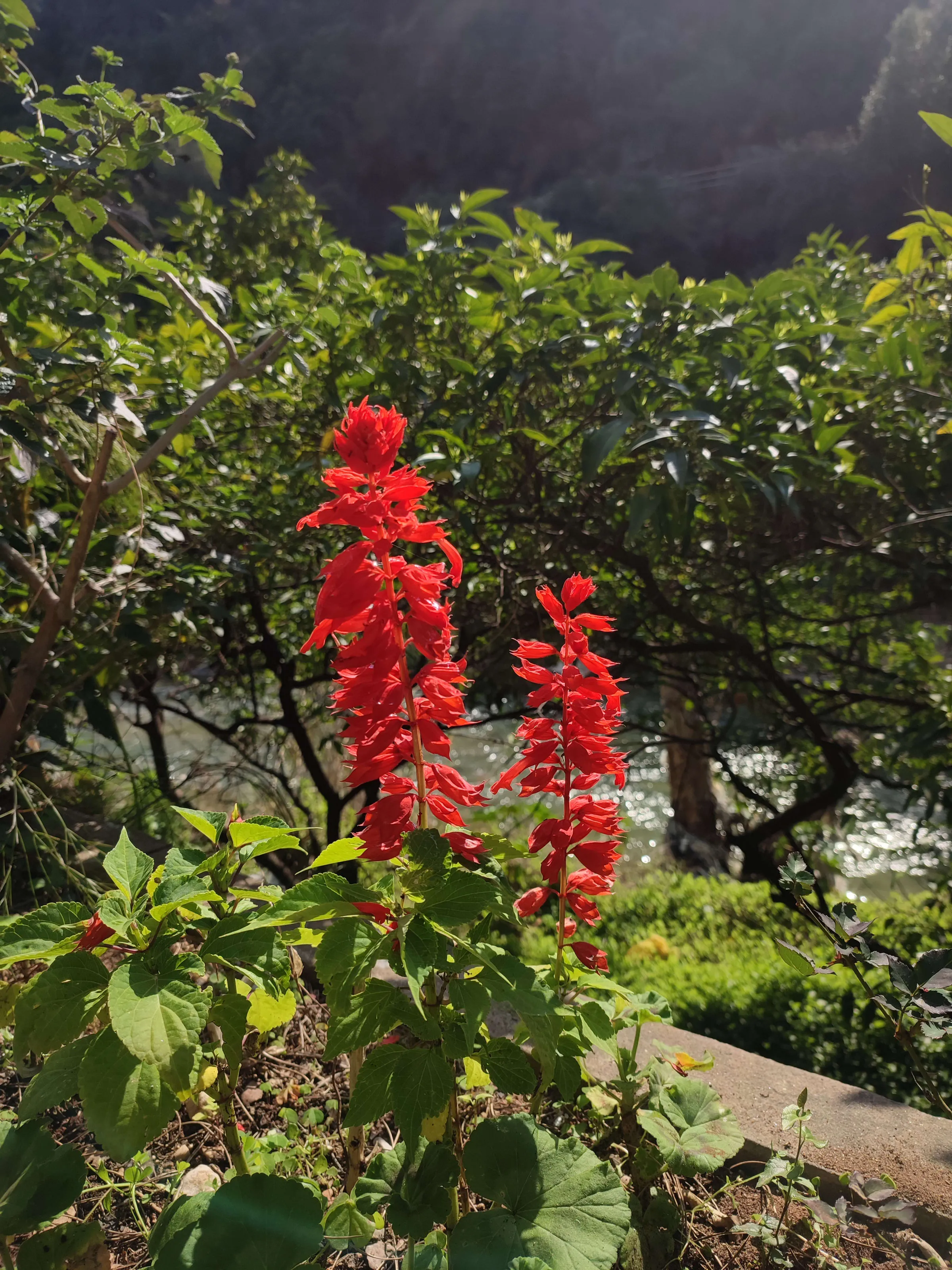 1741762739796_avm01m