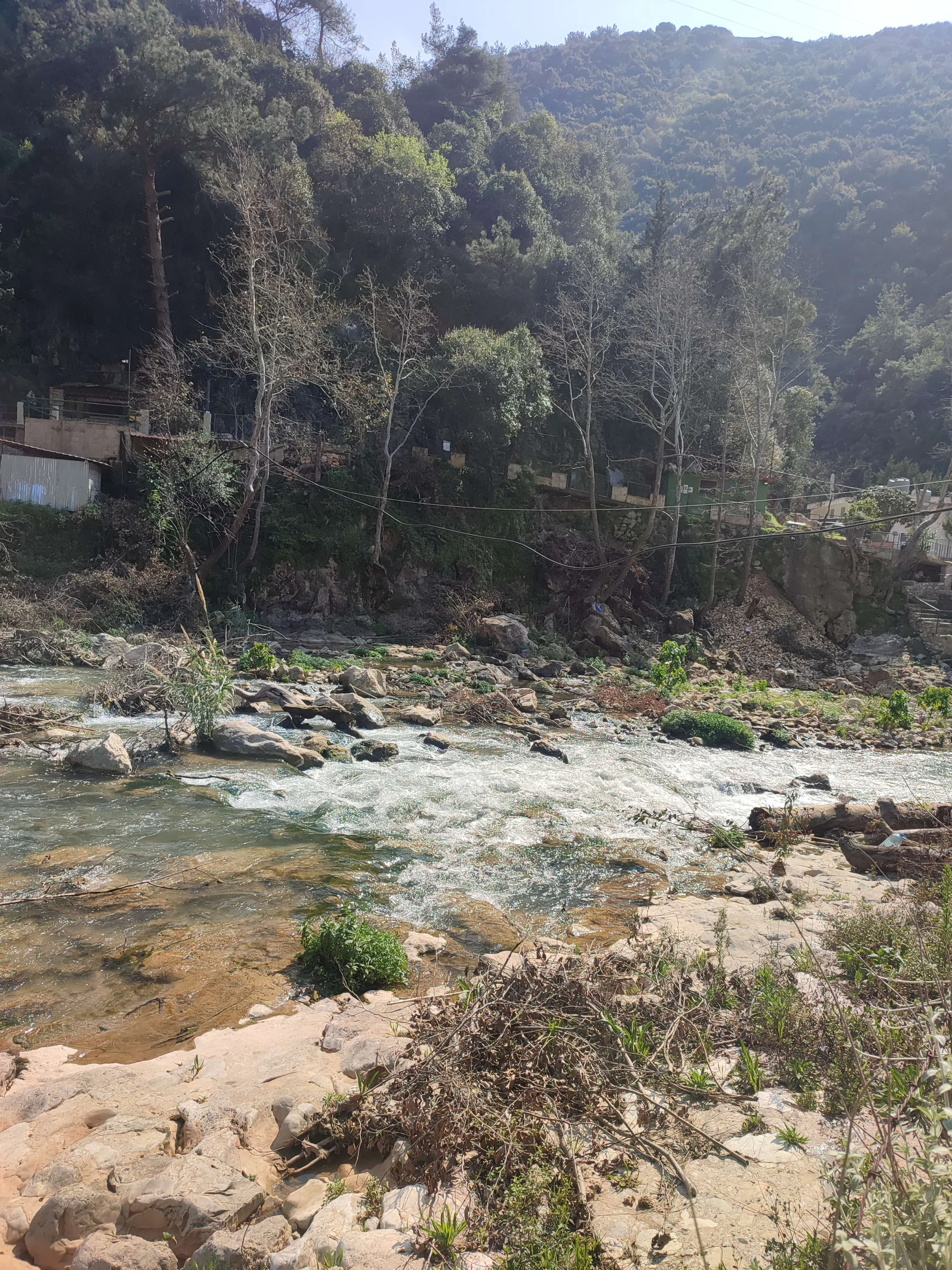 1741762739834_s6osbq