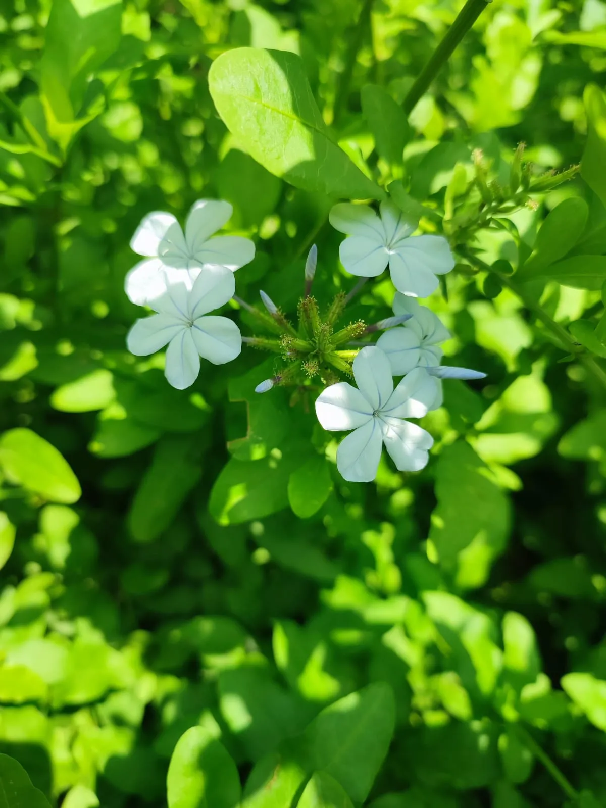 IMG_20230509_141510_mkgax8