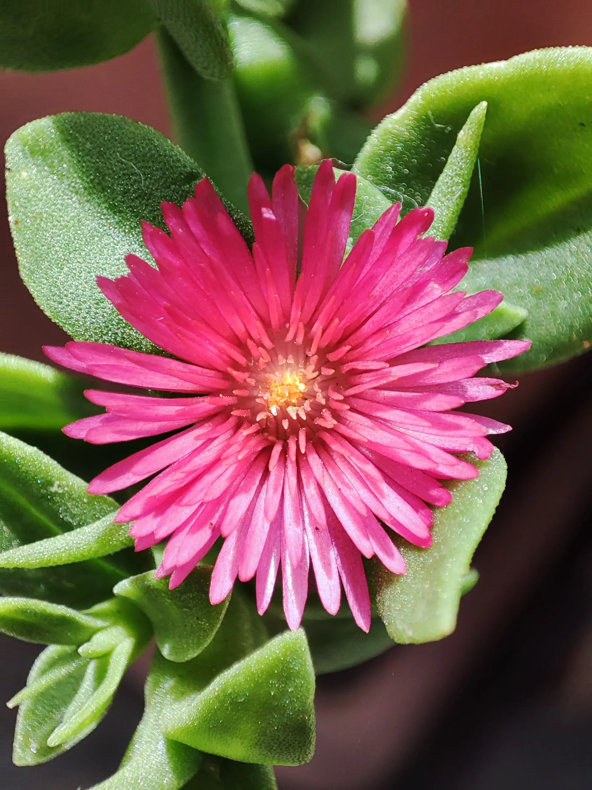 IMG_20230519_112312_kbgxbv