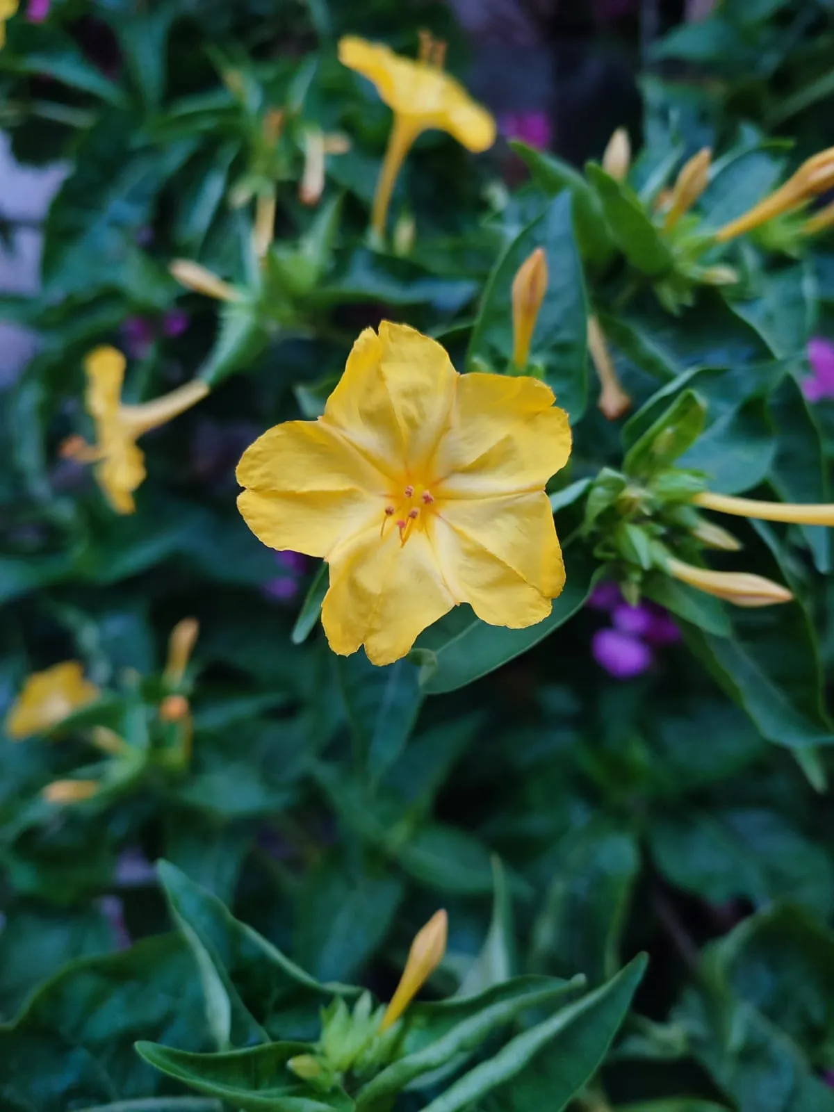 IMG_20230629_195433_wufvs3