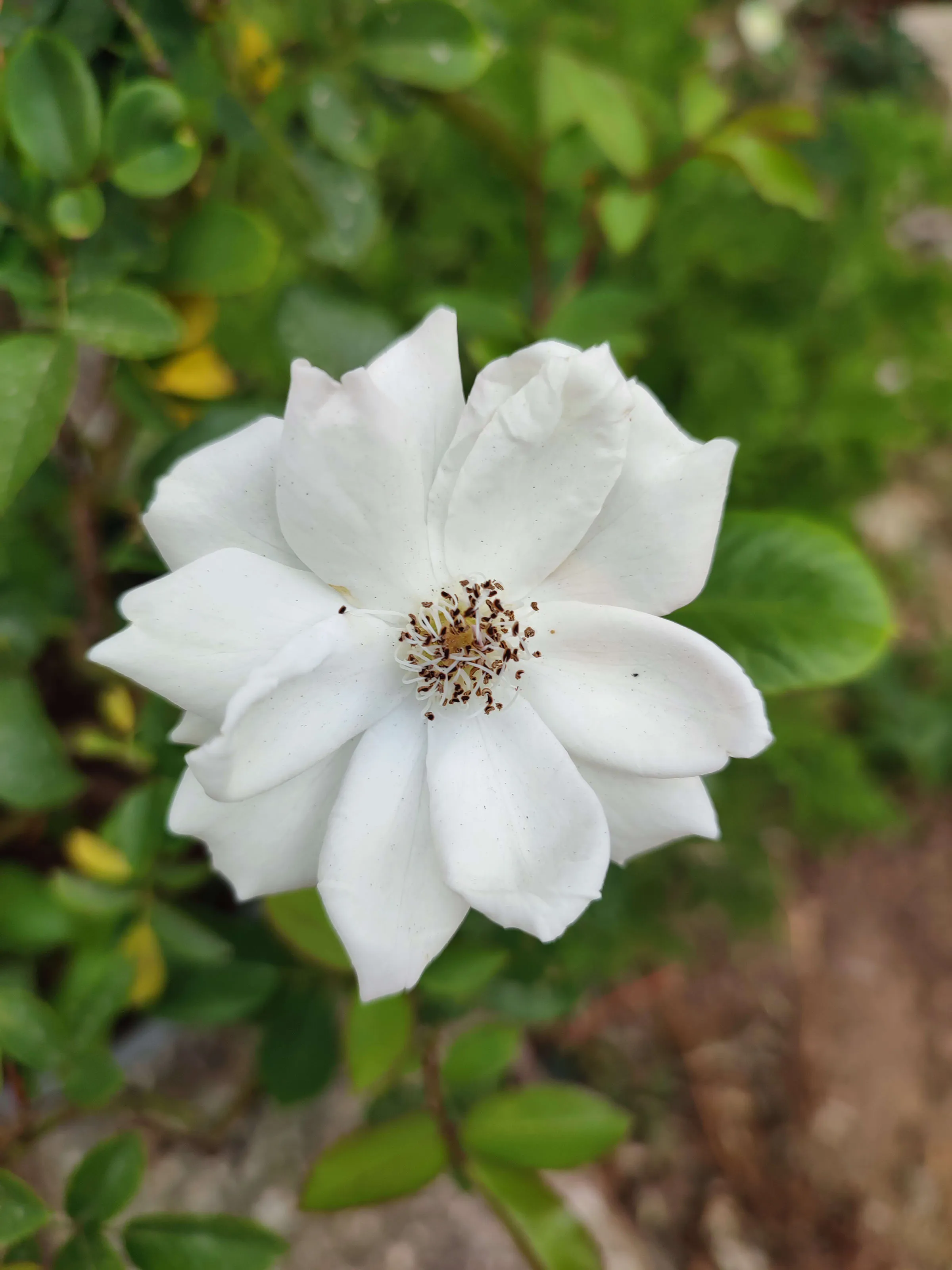 IMG_20230630_135912_kb7xao