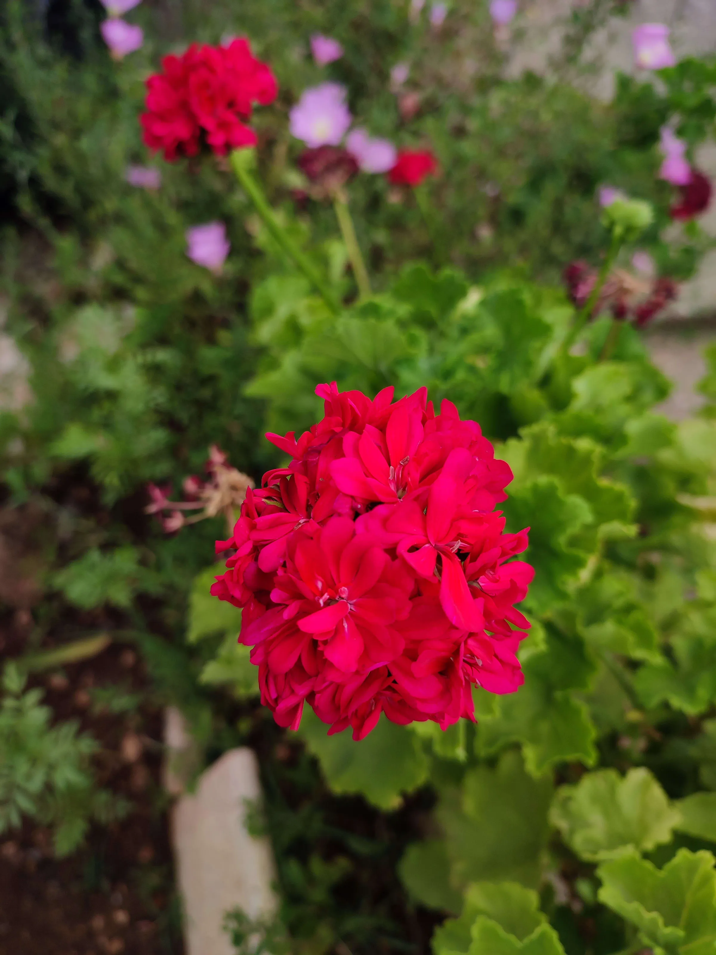 IMG_20230630_140306_t9itrt