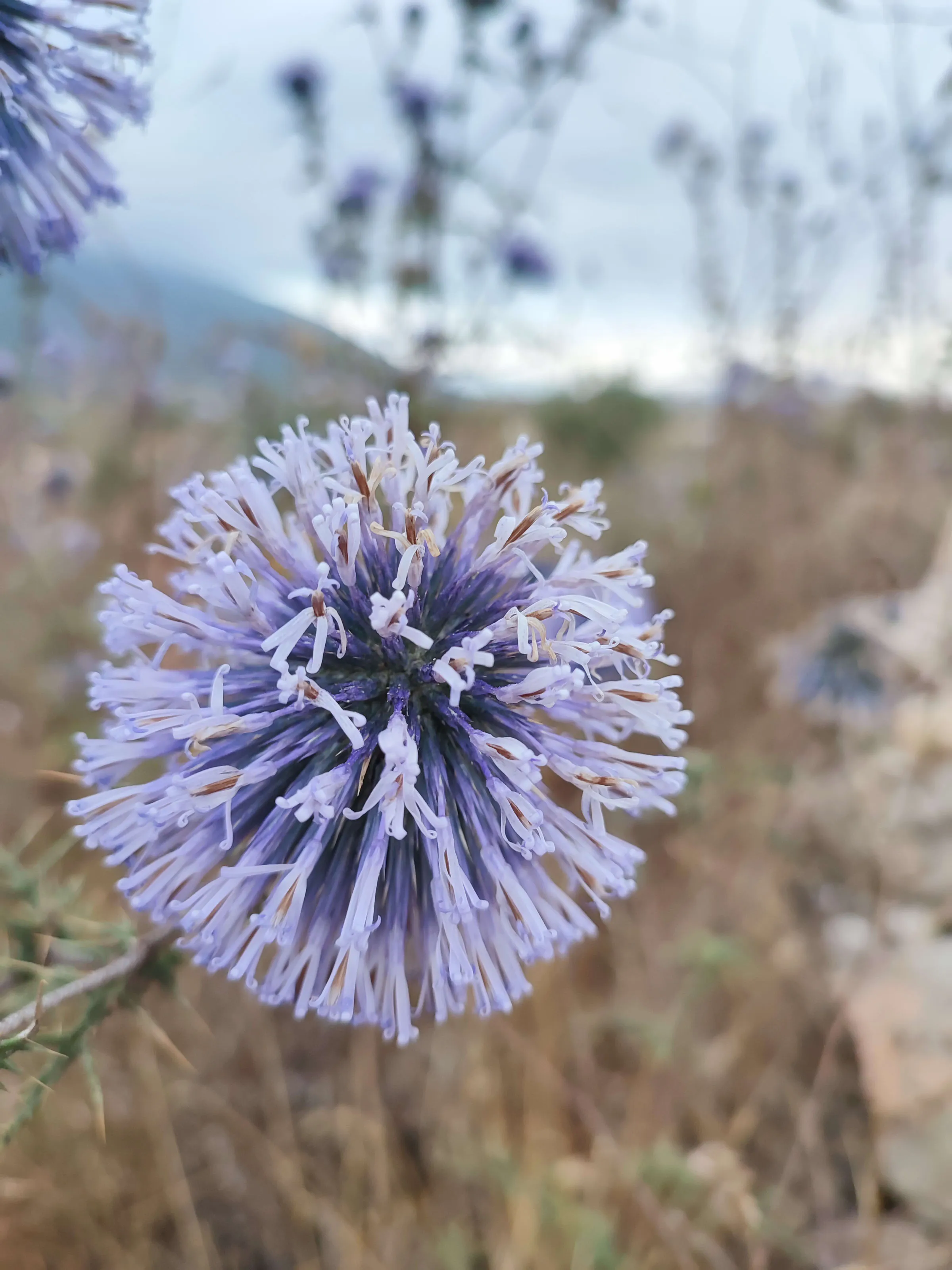 IMG_20230702_191128_xrpvjz