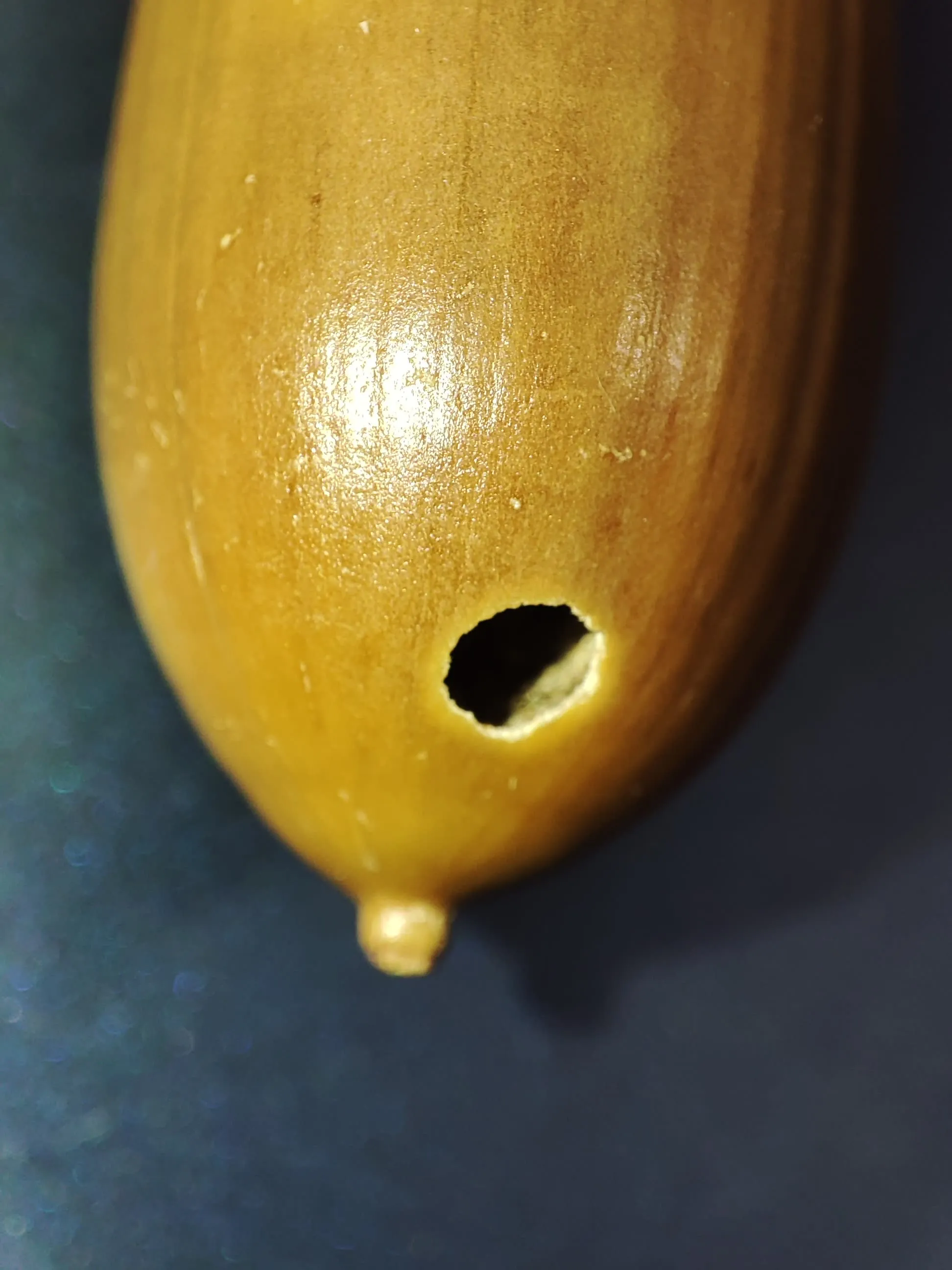 IMG_20250216_004450_qfsybs