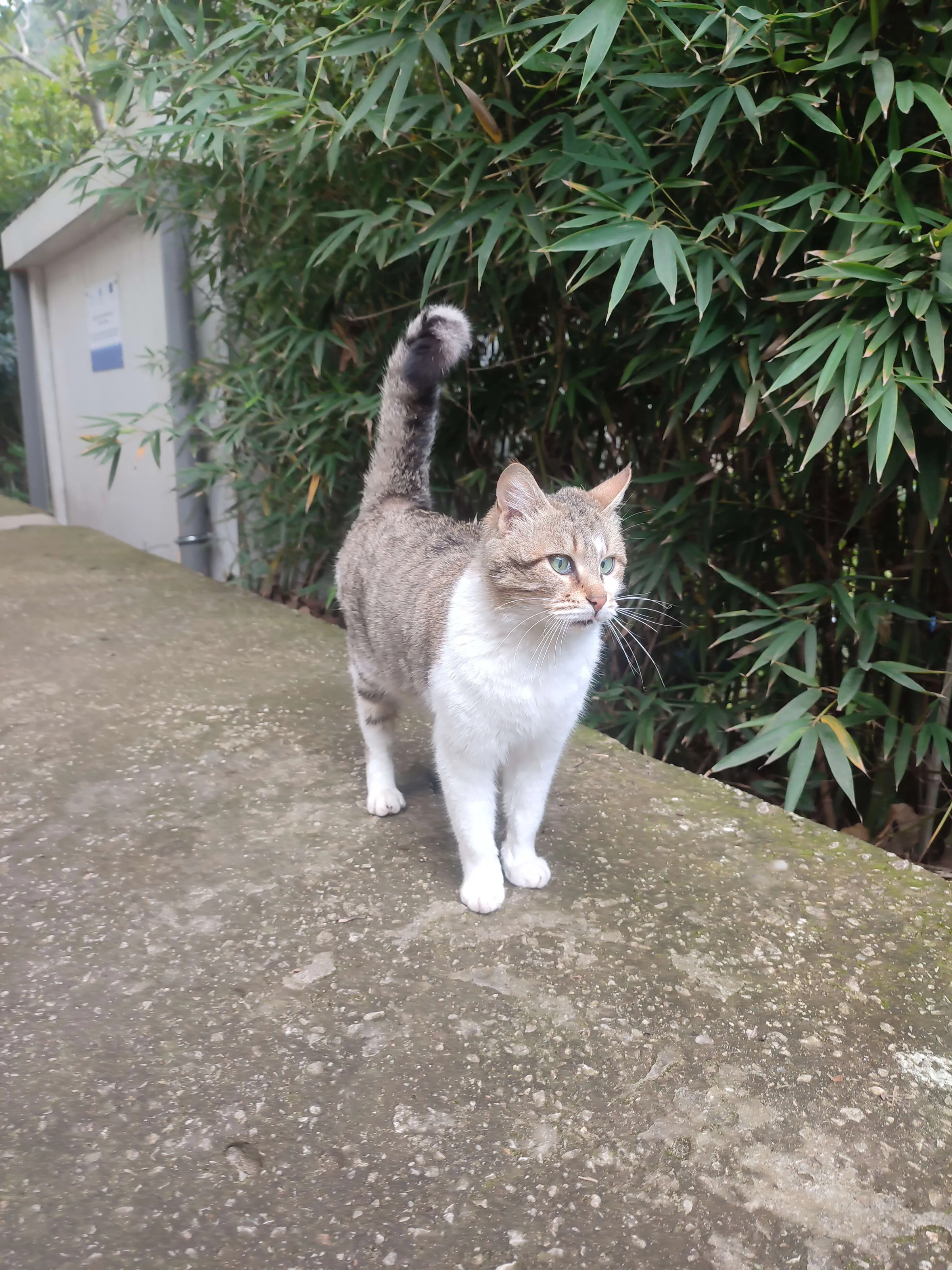 IMG_20250220_134343_lviham