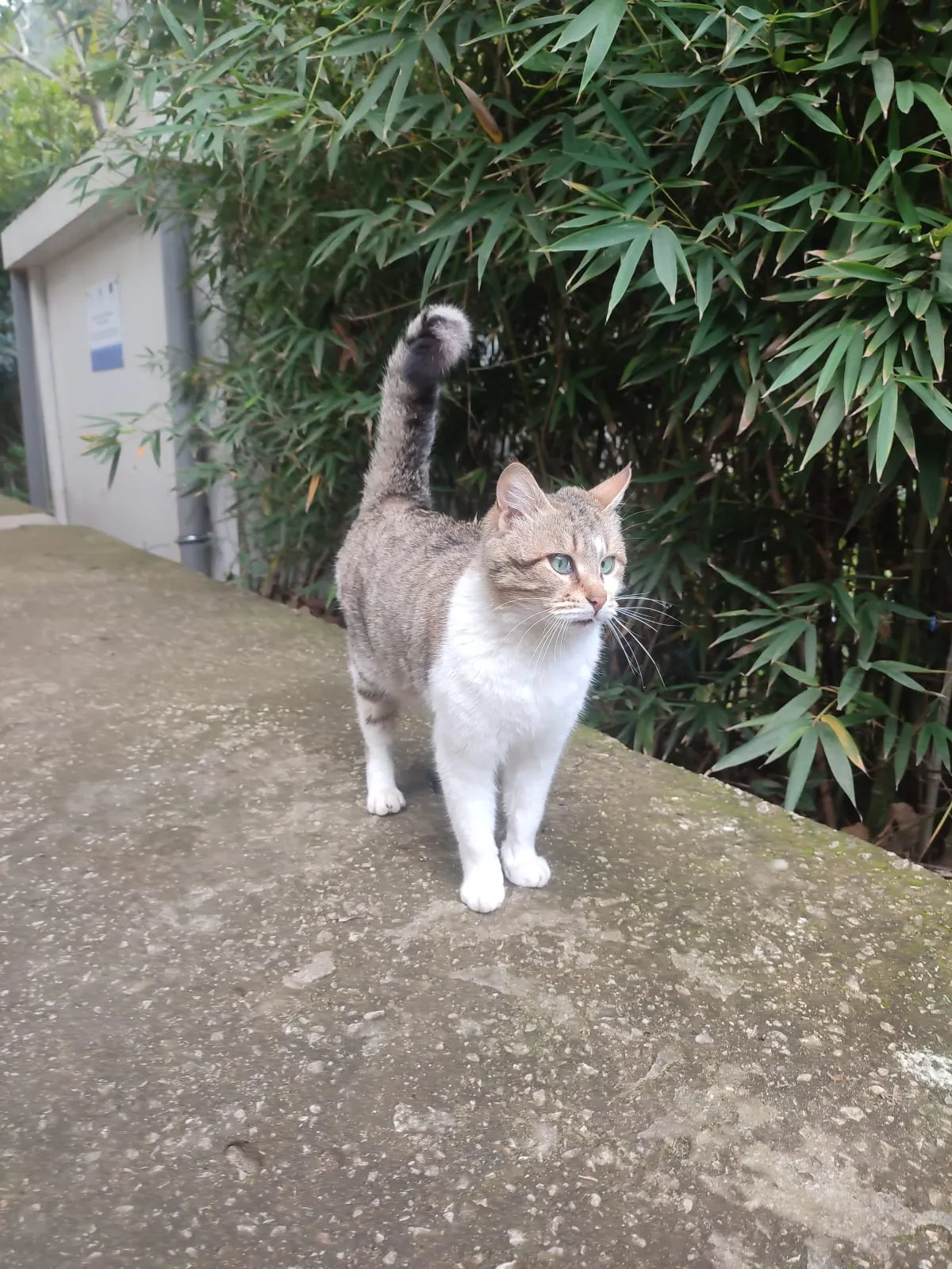 IMG_20250220_134343_lviham