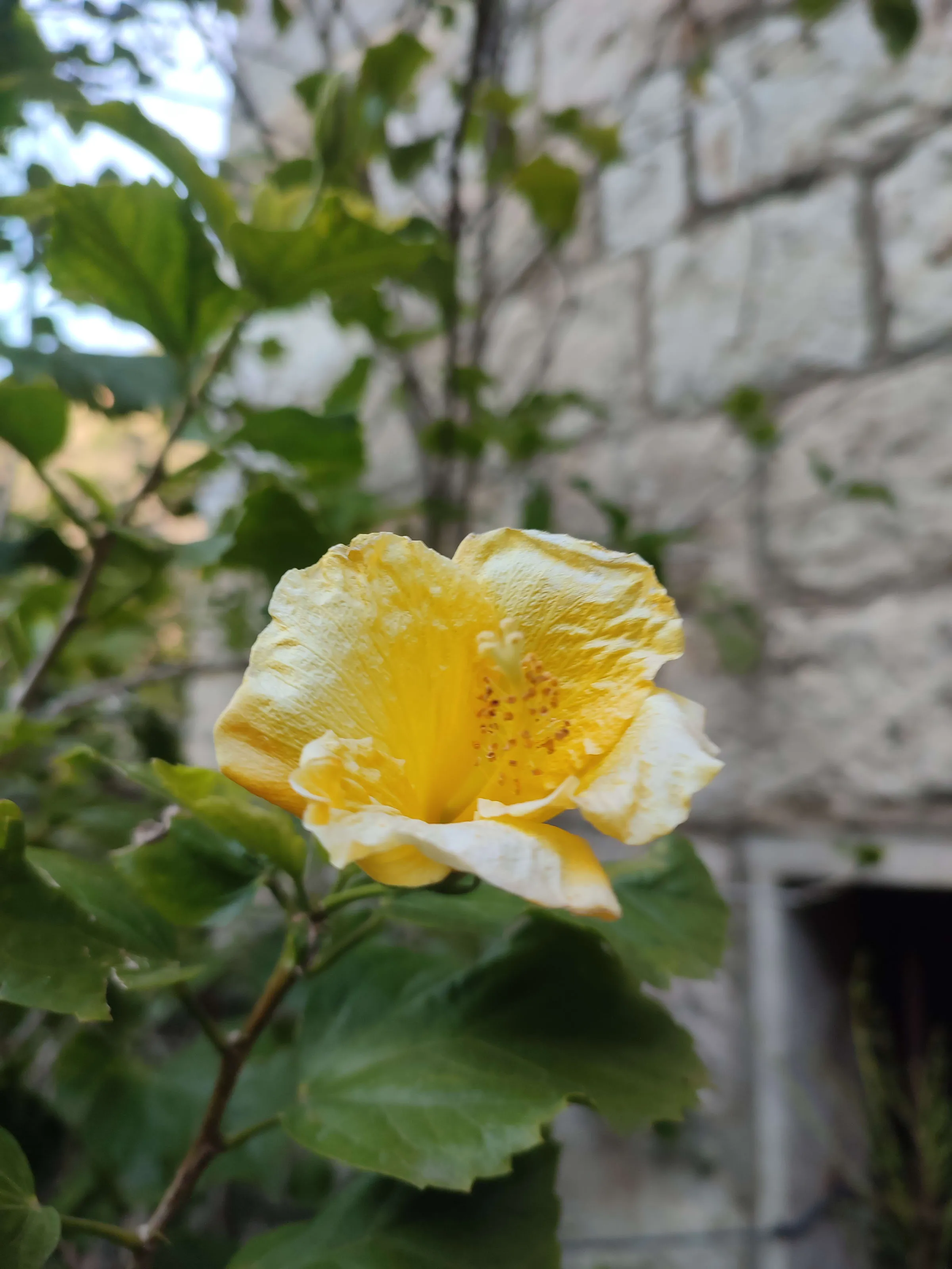 IMG_20250225_152703_ipdie0