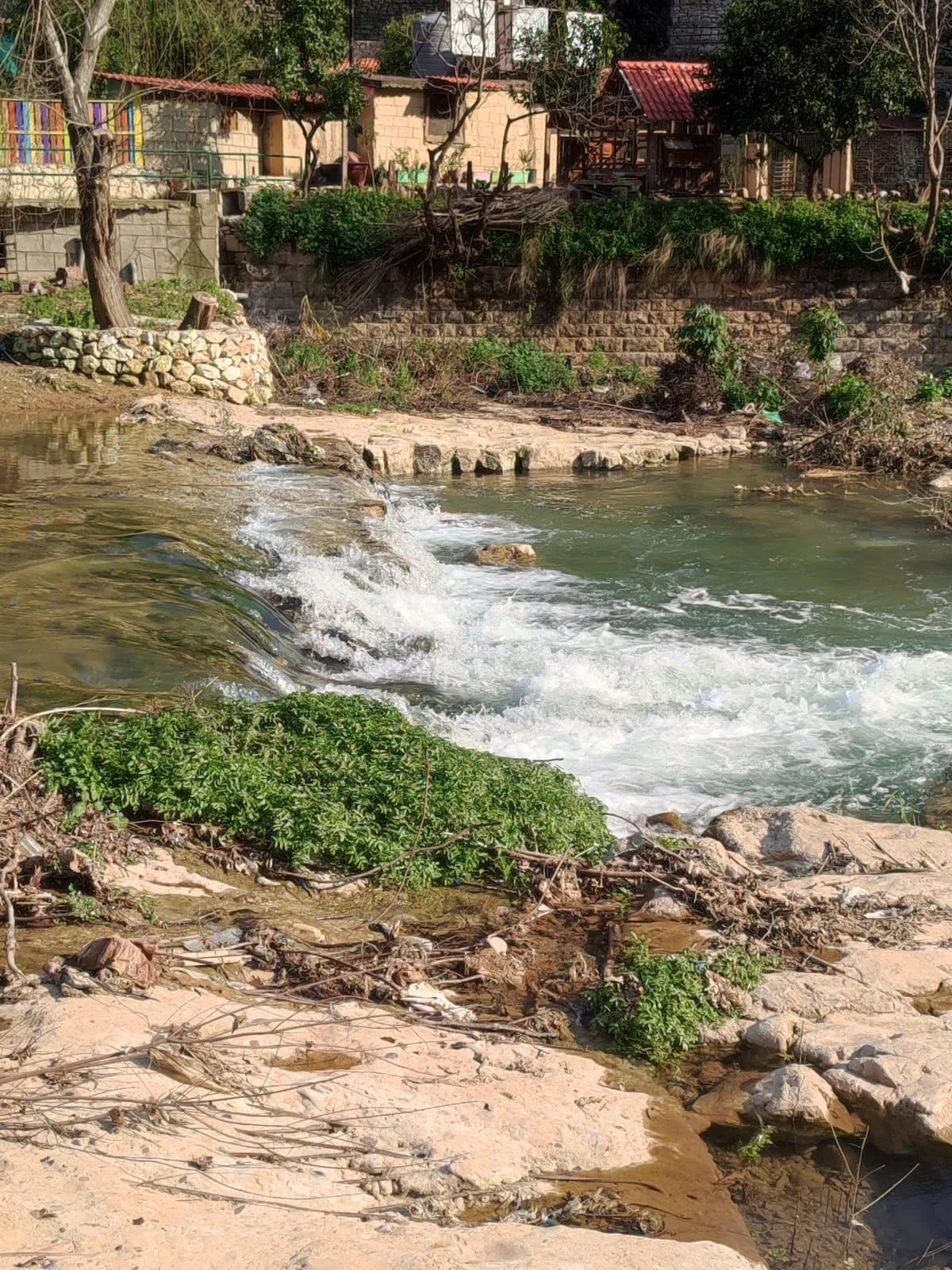 IMG_20250227_145516_t1zuph