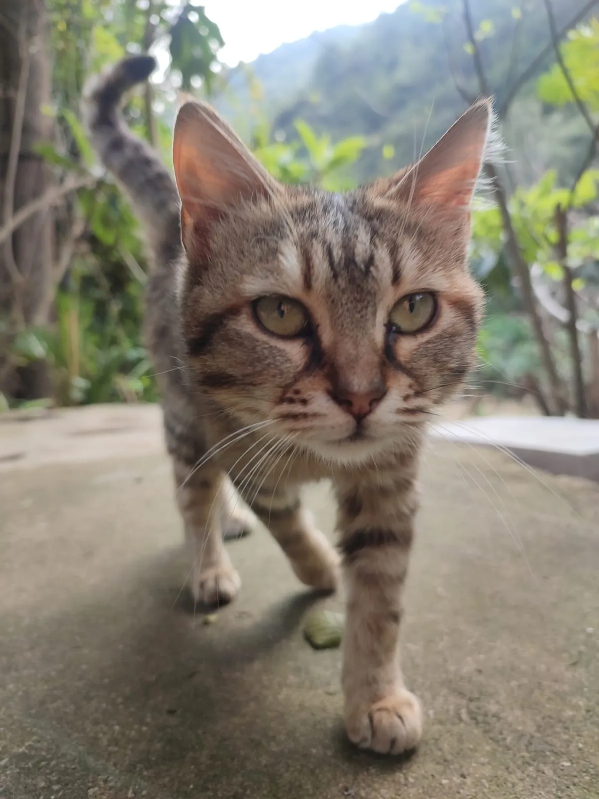 IMG_20250306_132012_gbzixg