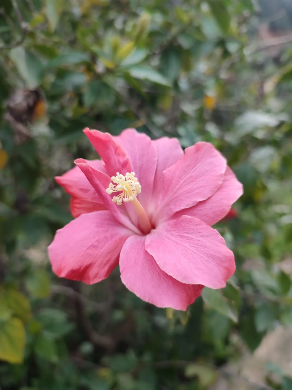 IMG_20250306_160824_tkfiwd