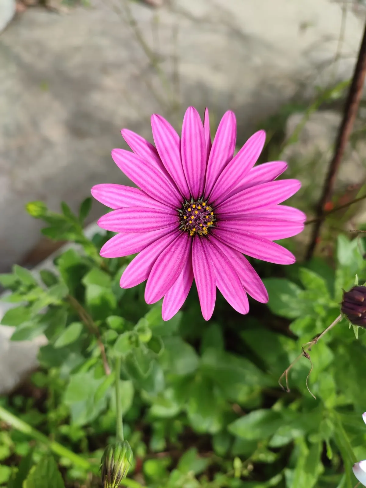 IMG_20250318_135923_zylyck