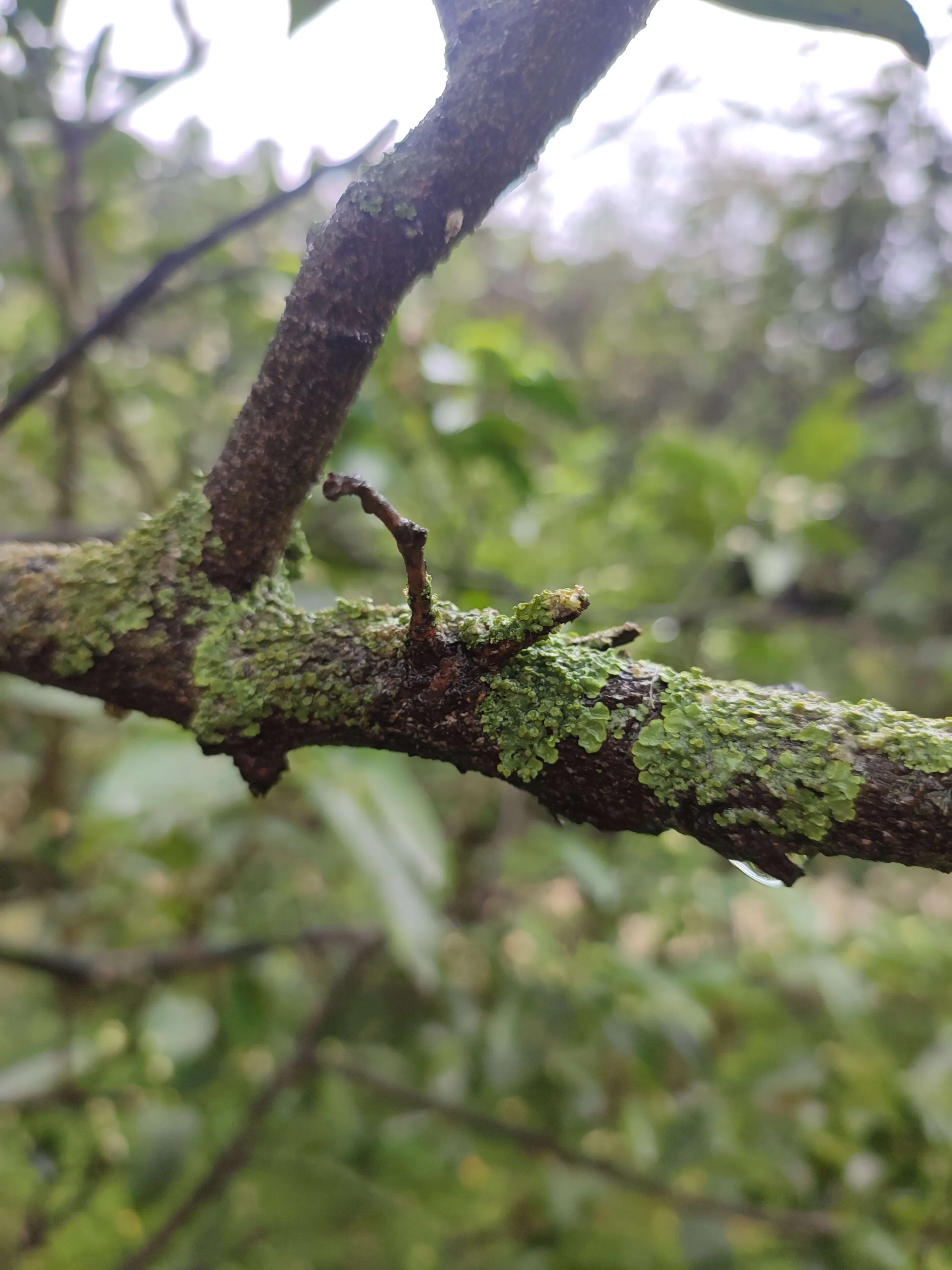 IMG_20250320_114044_puda4b