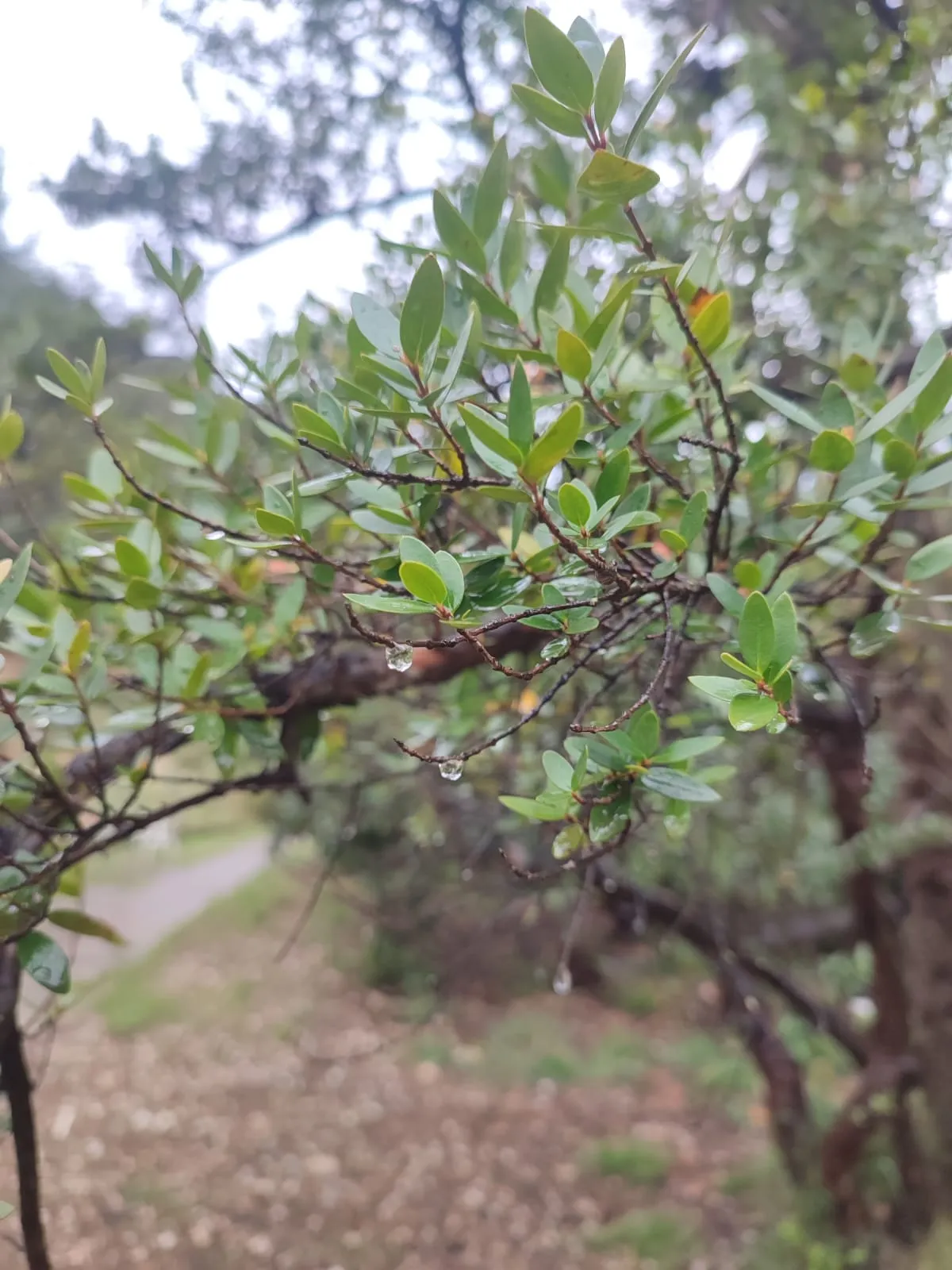 IMG_20250320_145932_ktkuvm