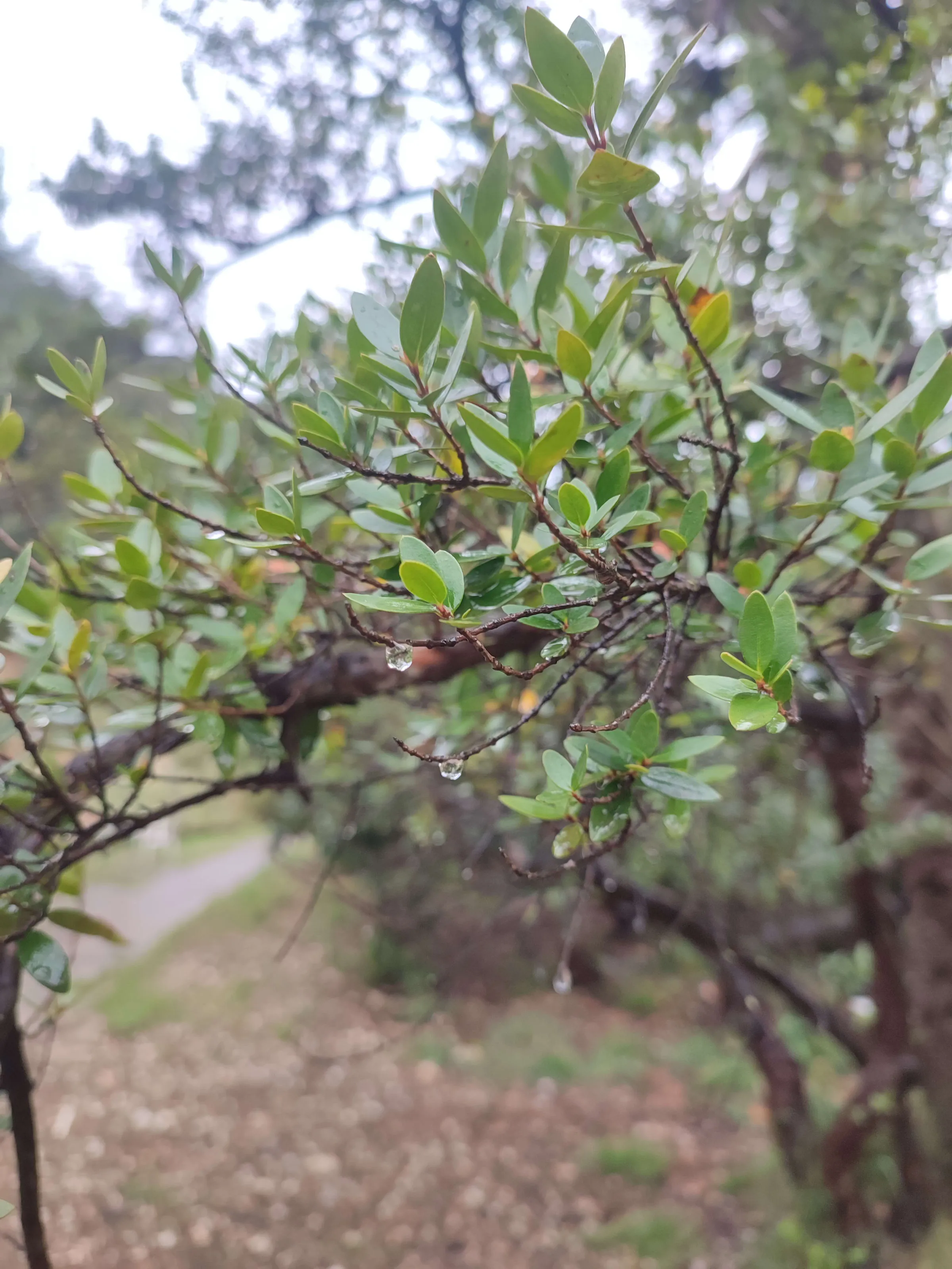 IMG_20250320_145932_ktkuvm