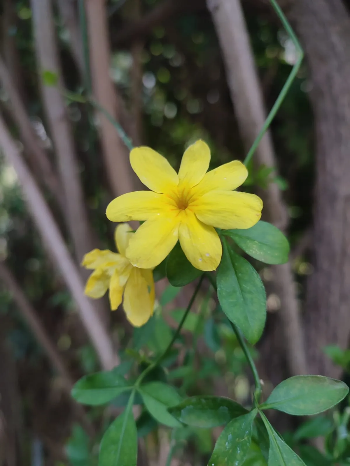 IMG_20250325_161030_pubiia