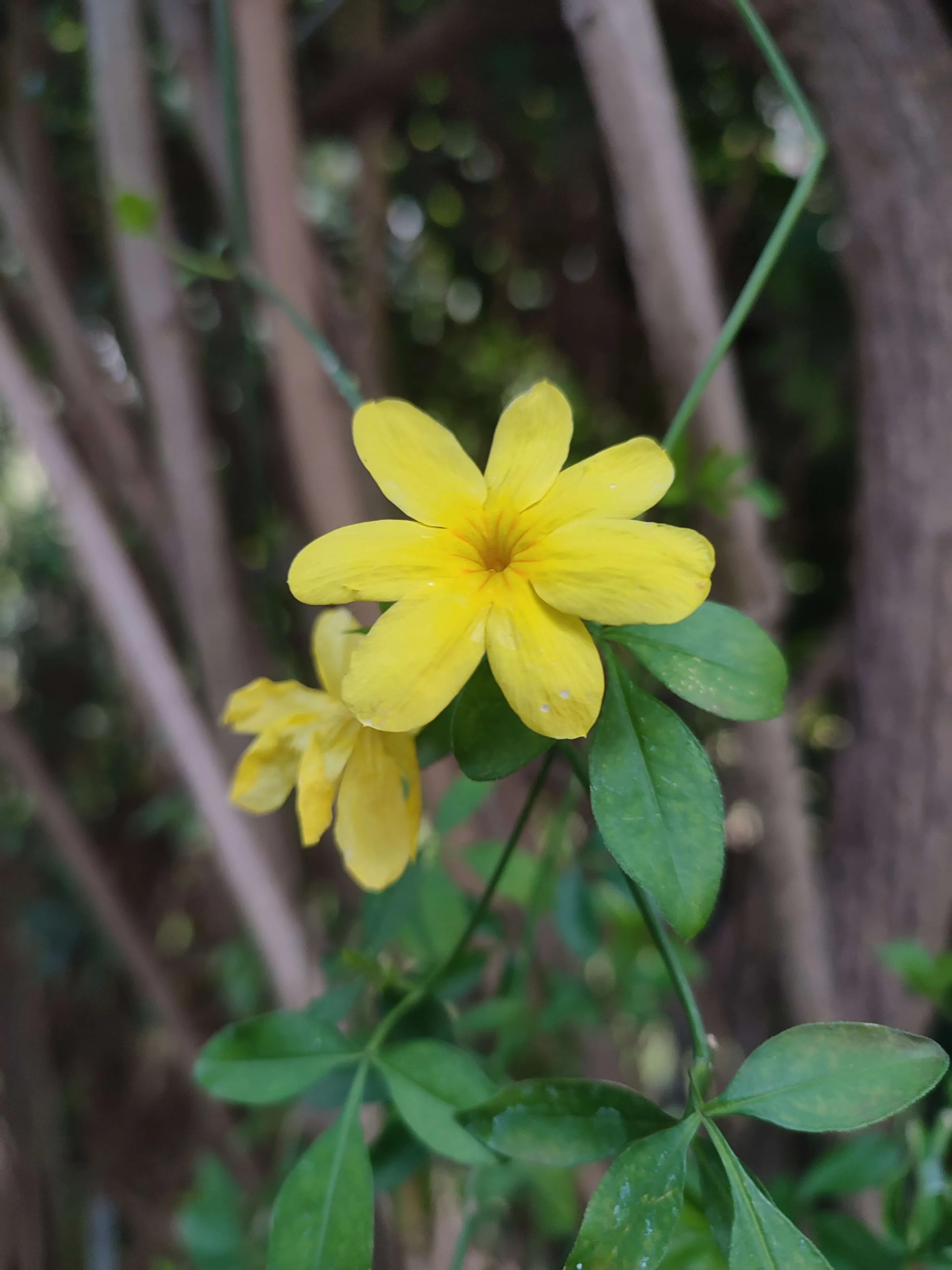 IMG_20250325_161030_pubiia