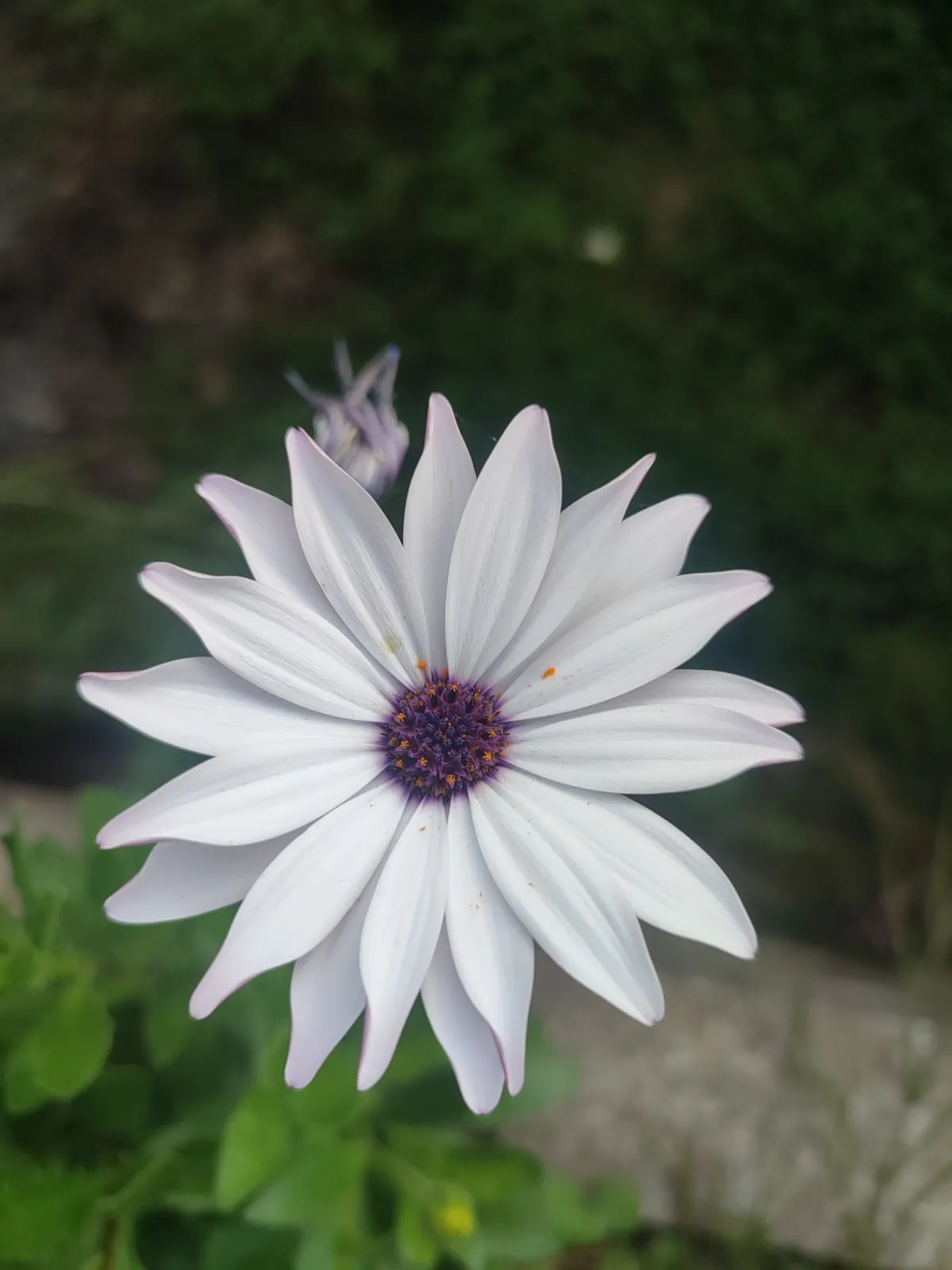 IMG_20250325_161105_oos4we