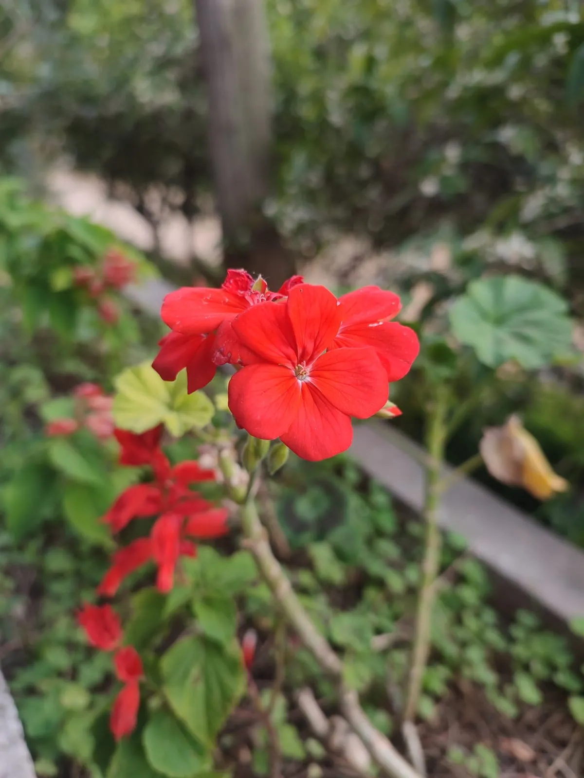 IMG_20250325_161115_ceayfa