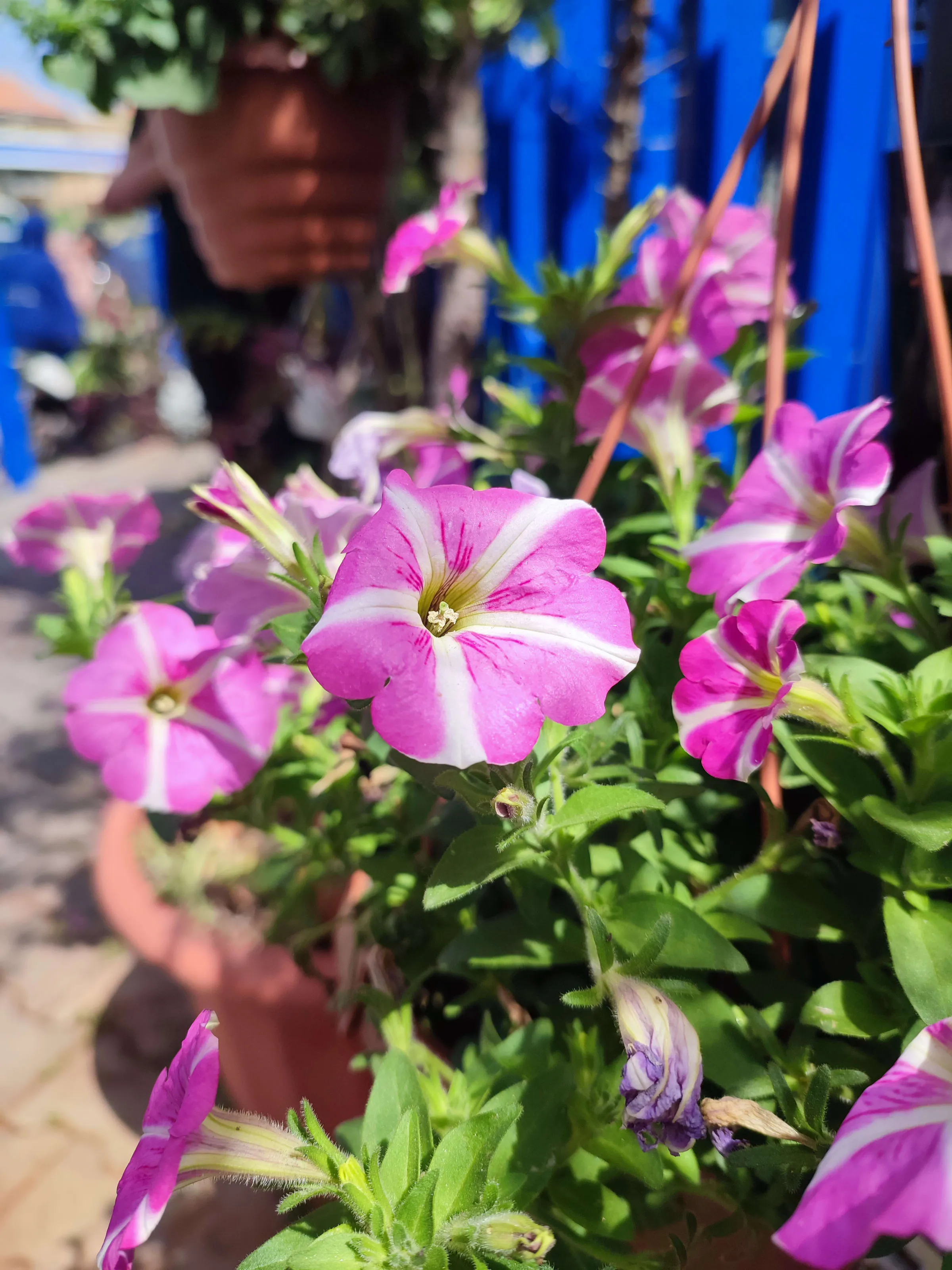 IMG_20250422_105543_yxuj0z