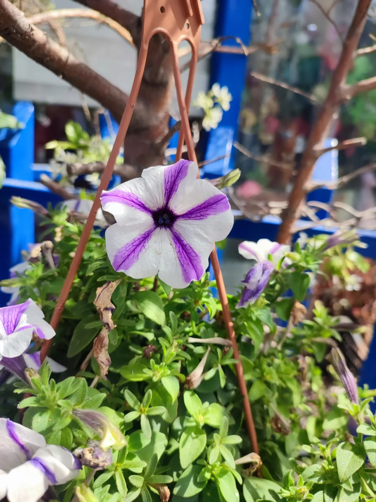 IMG_20250422_105547_wglk5i