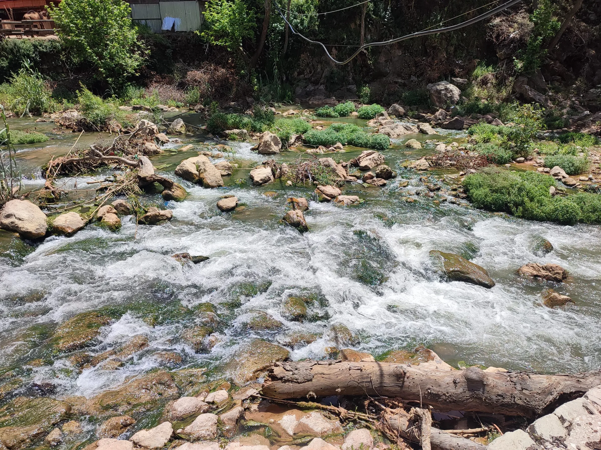 IMG_20250422_125910_dlxmof