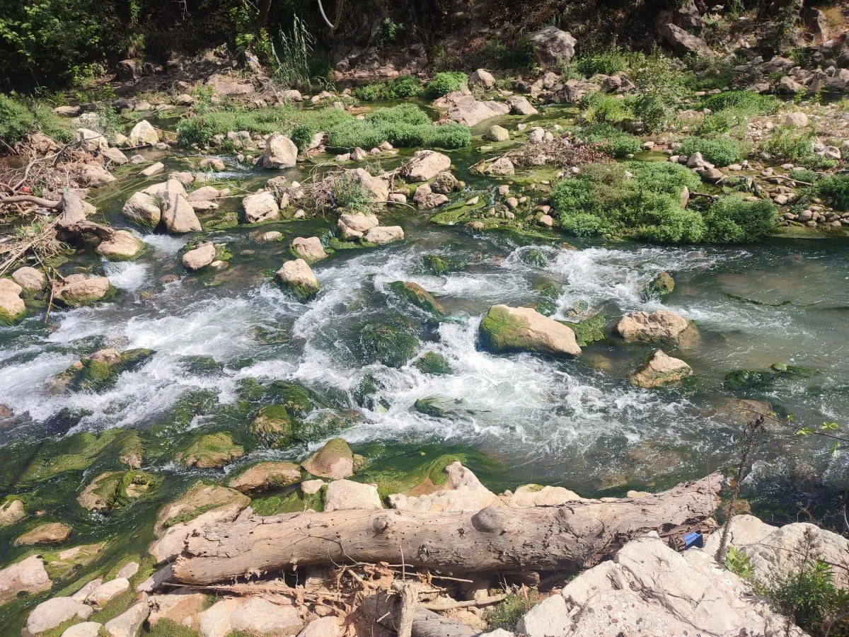 IMG_20250502_154324_kmrlfe