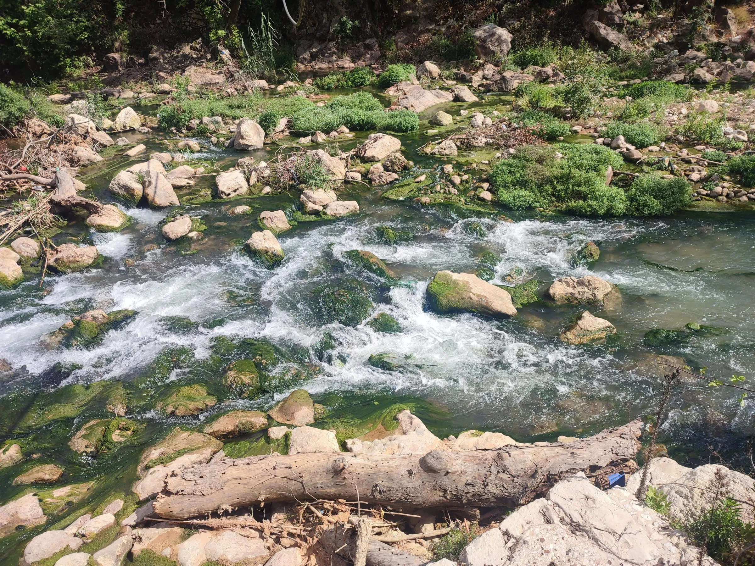 IMG_20250502_154324_kmrlfe