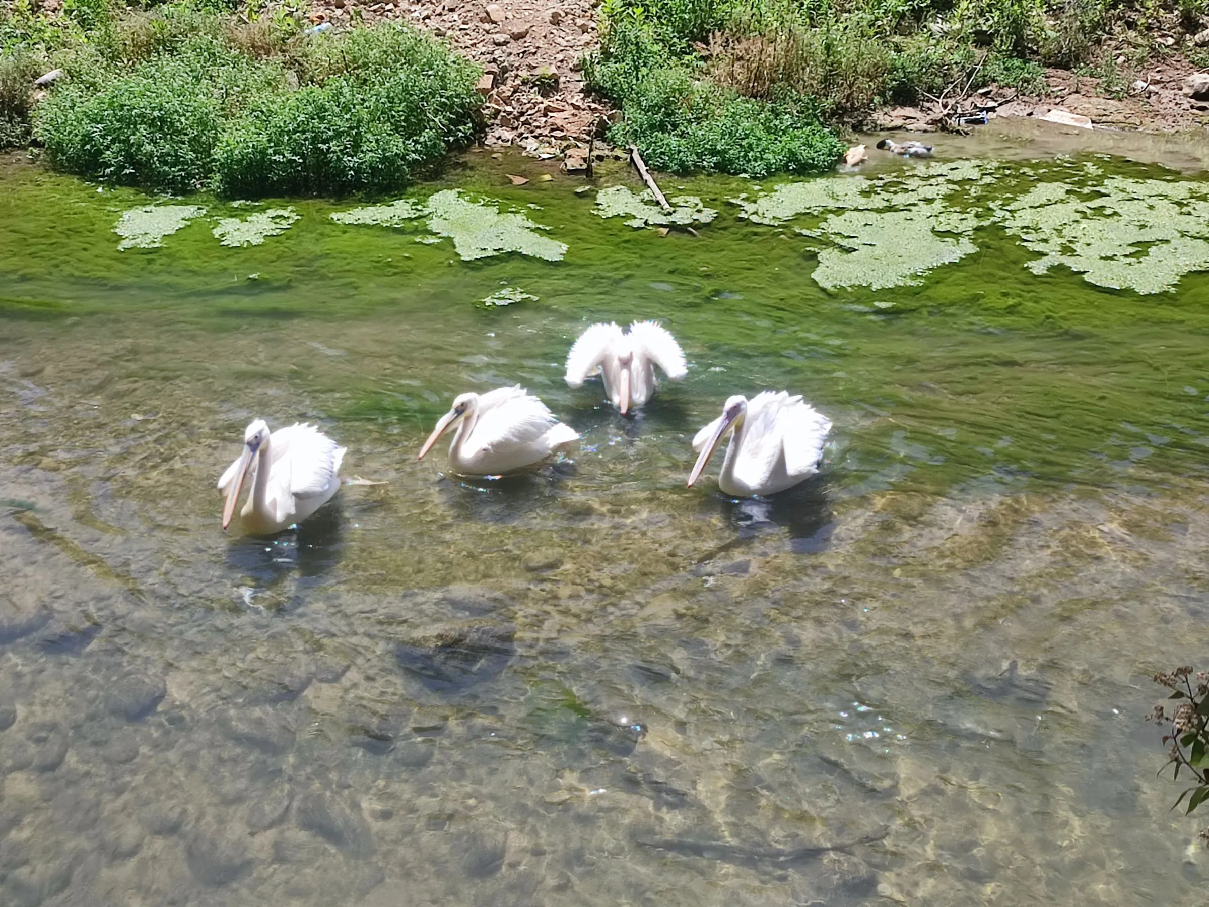 IMG_20250509_111633_nwx5dp