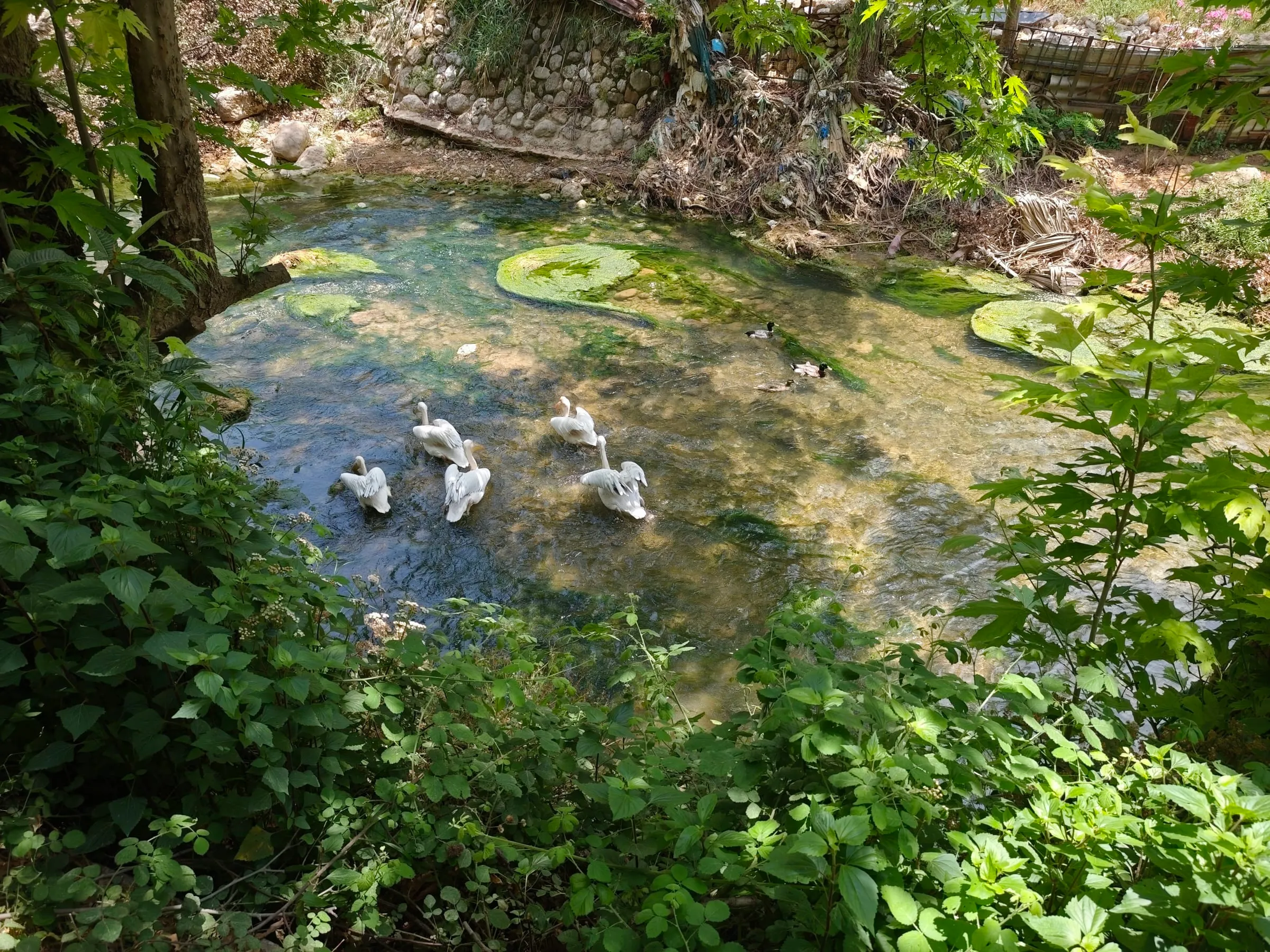 IMG_20250520_130413_f6pyxn