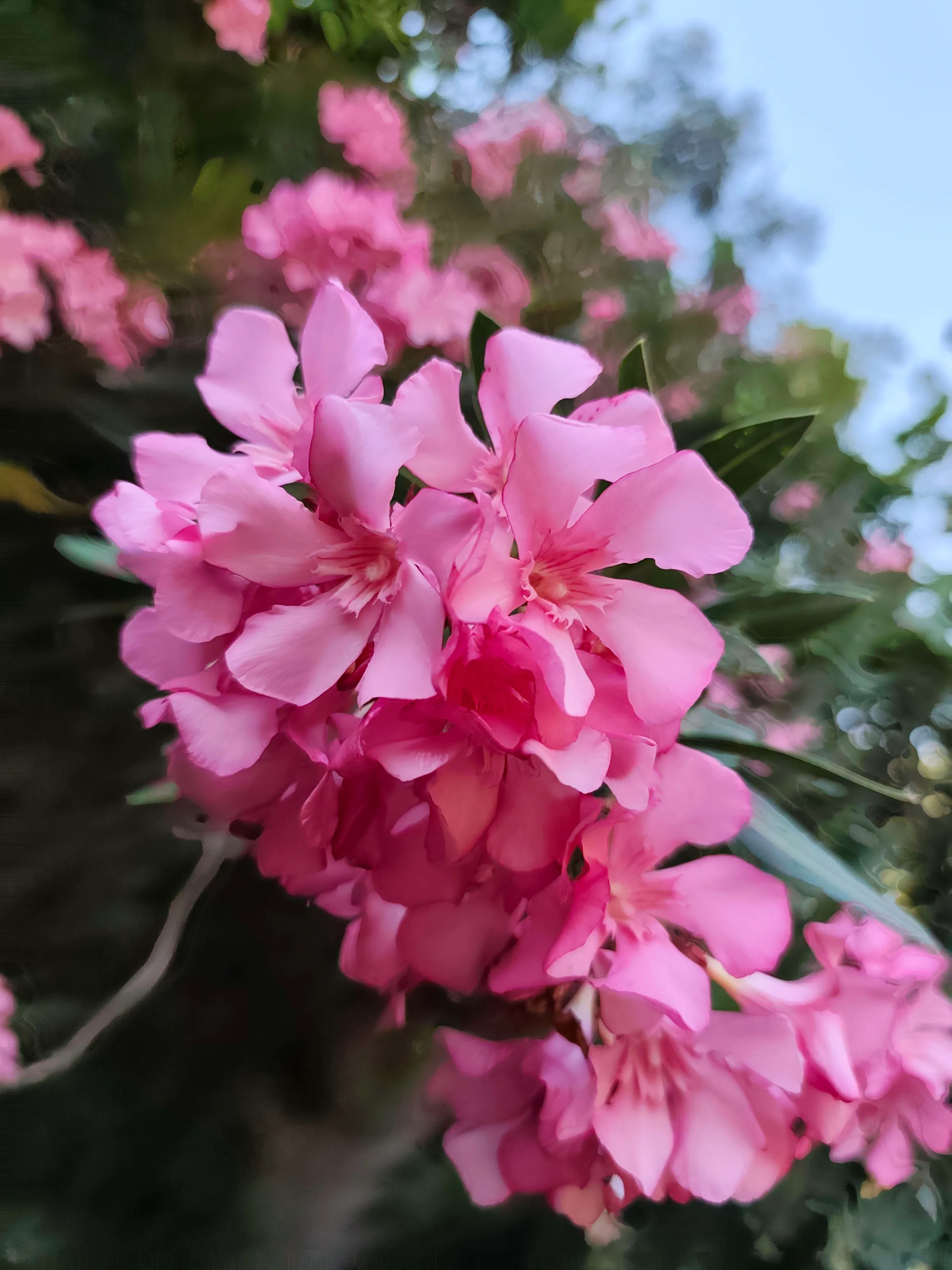 IMG_20250523_154150_jhsuxx