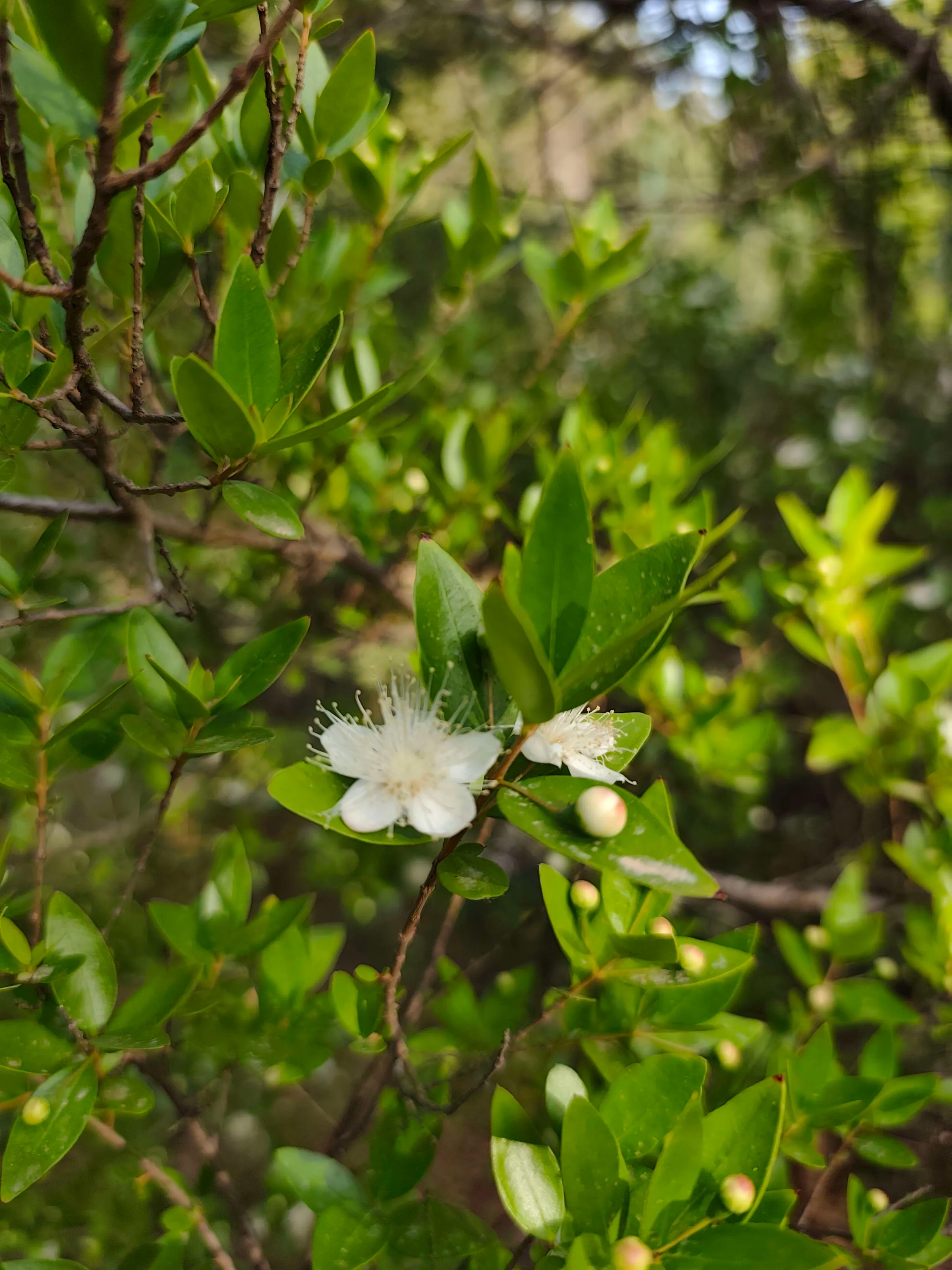 IMG_20250526_175550_gfpp9h