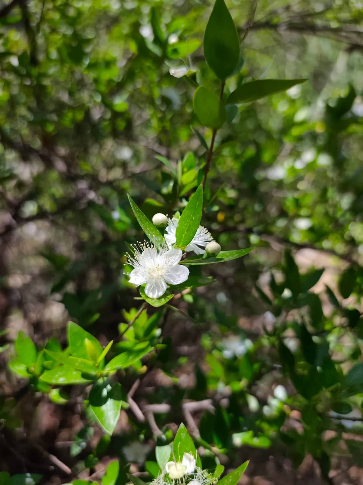 IMG_20250530_120522_ksgsnm