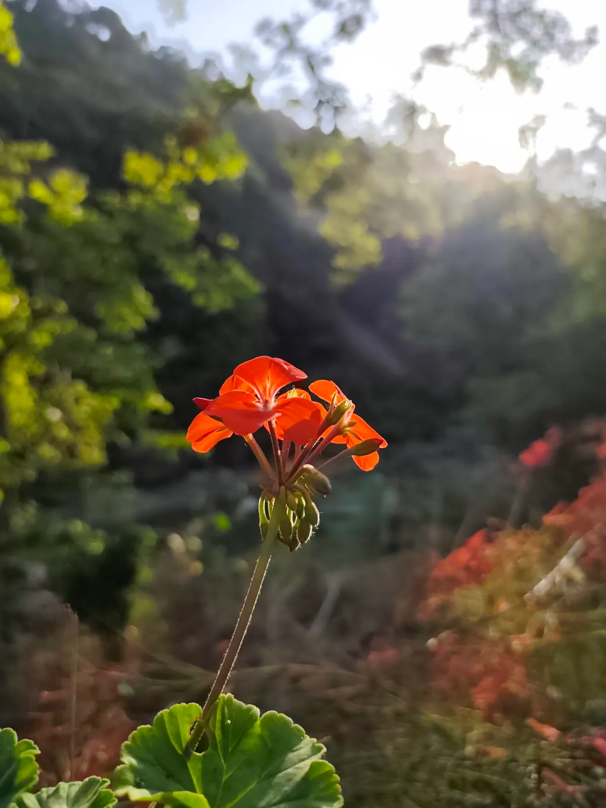 IMG_20250616_180412_impmk4