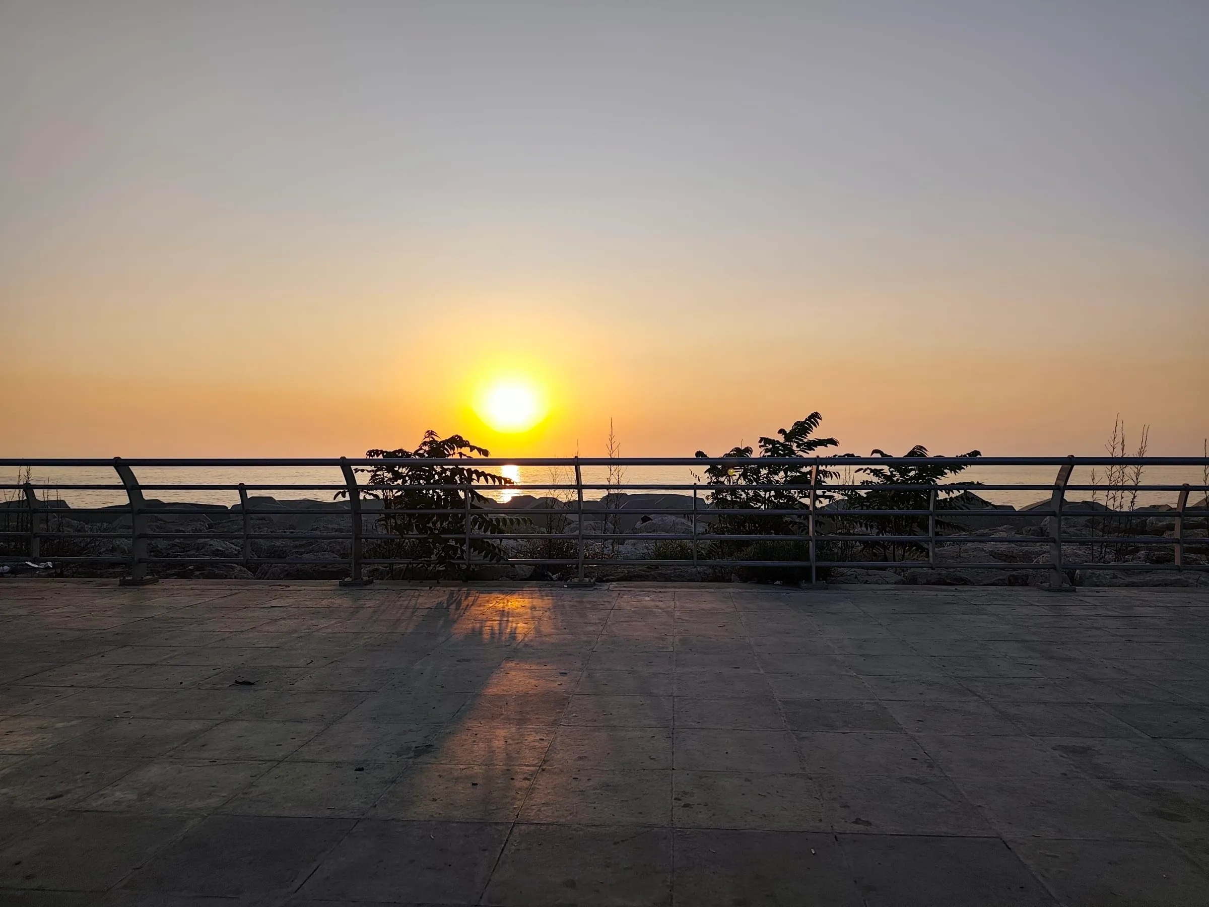 IMG_20250616_192815_ahk7fw