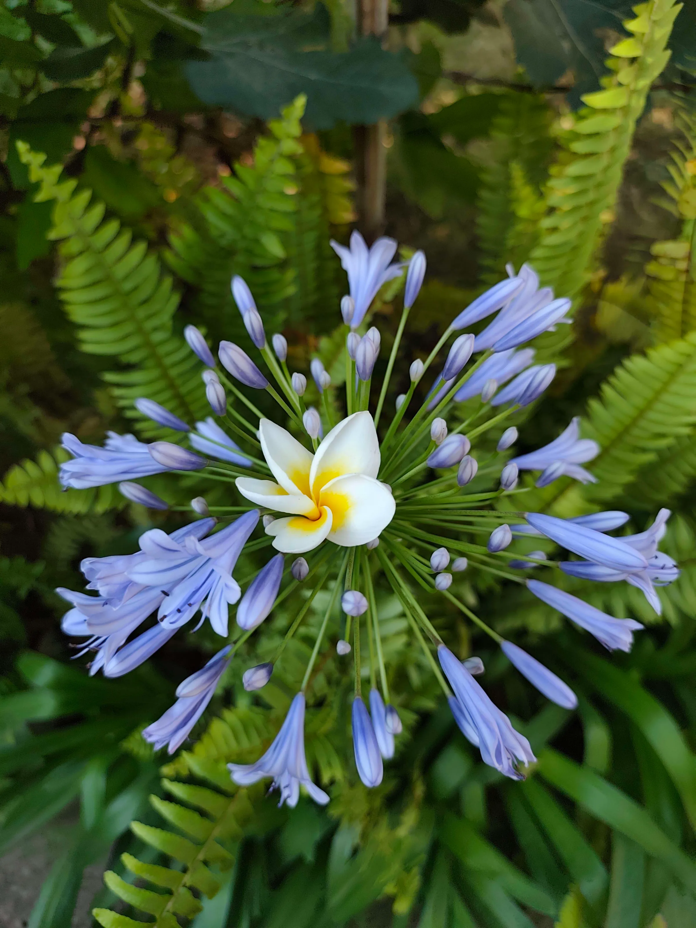 IMG_20250627_164804_q3xkmp