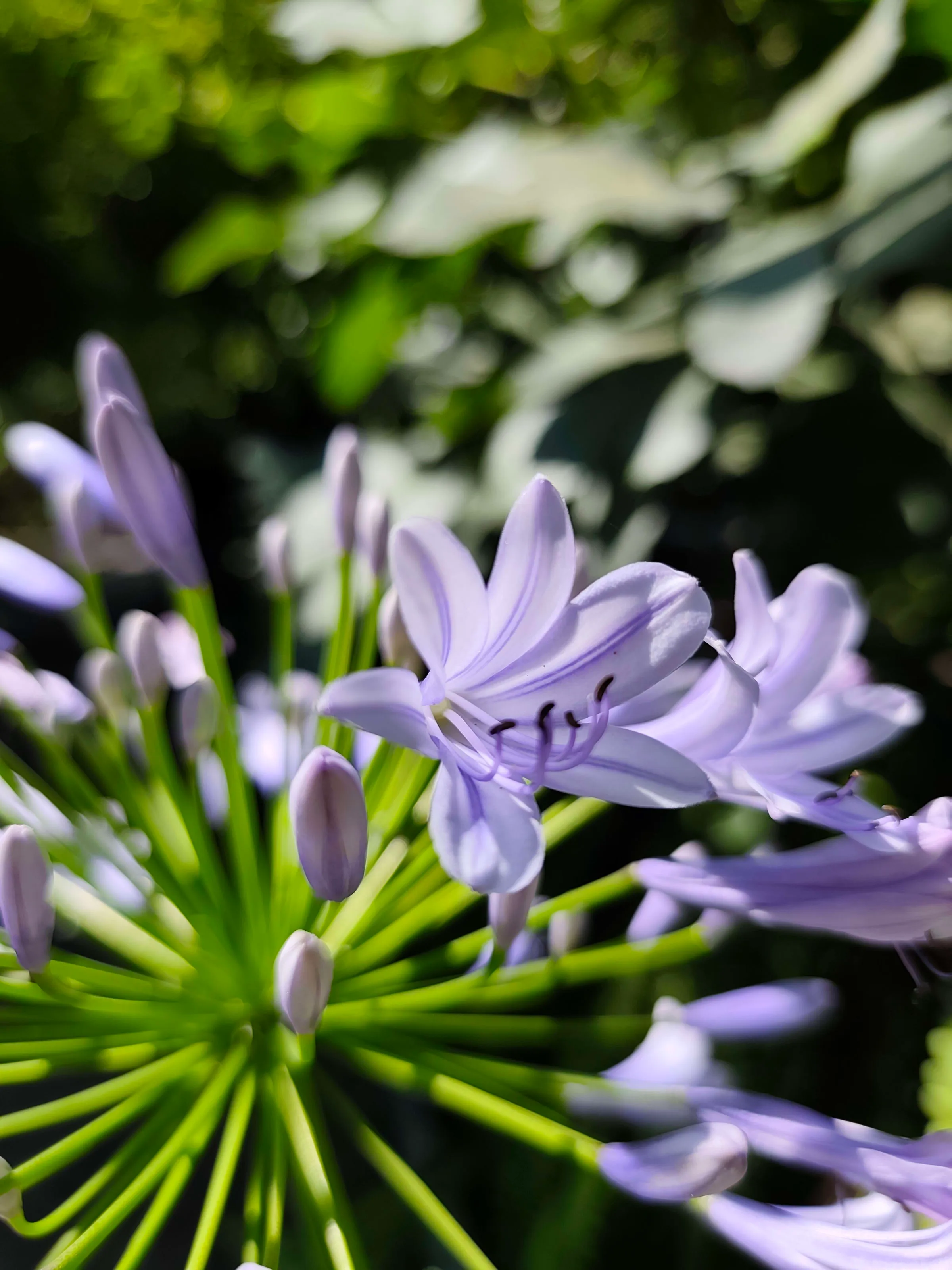 IMG_20250630_155657_drdxtm