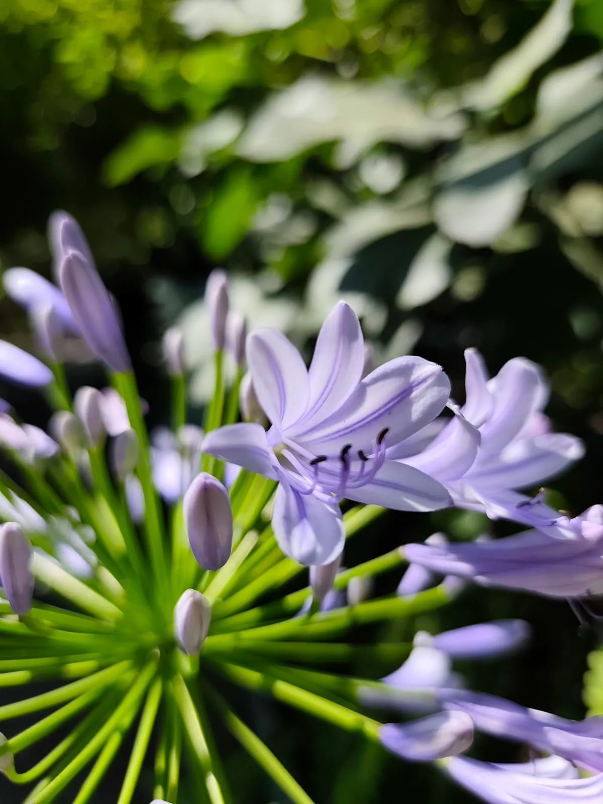 IMG_20250630_155657_drdxtm