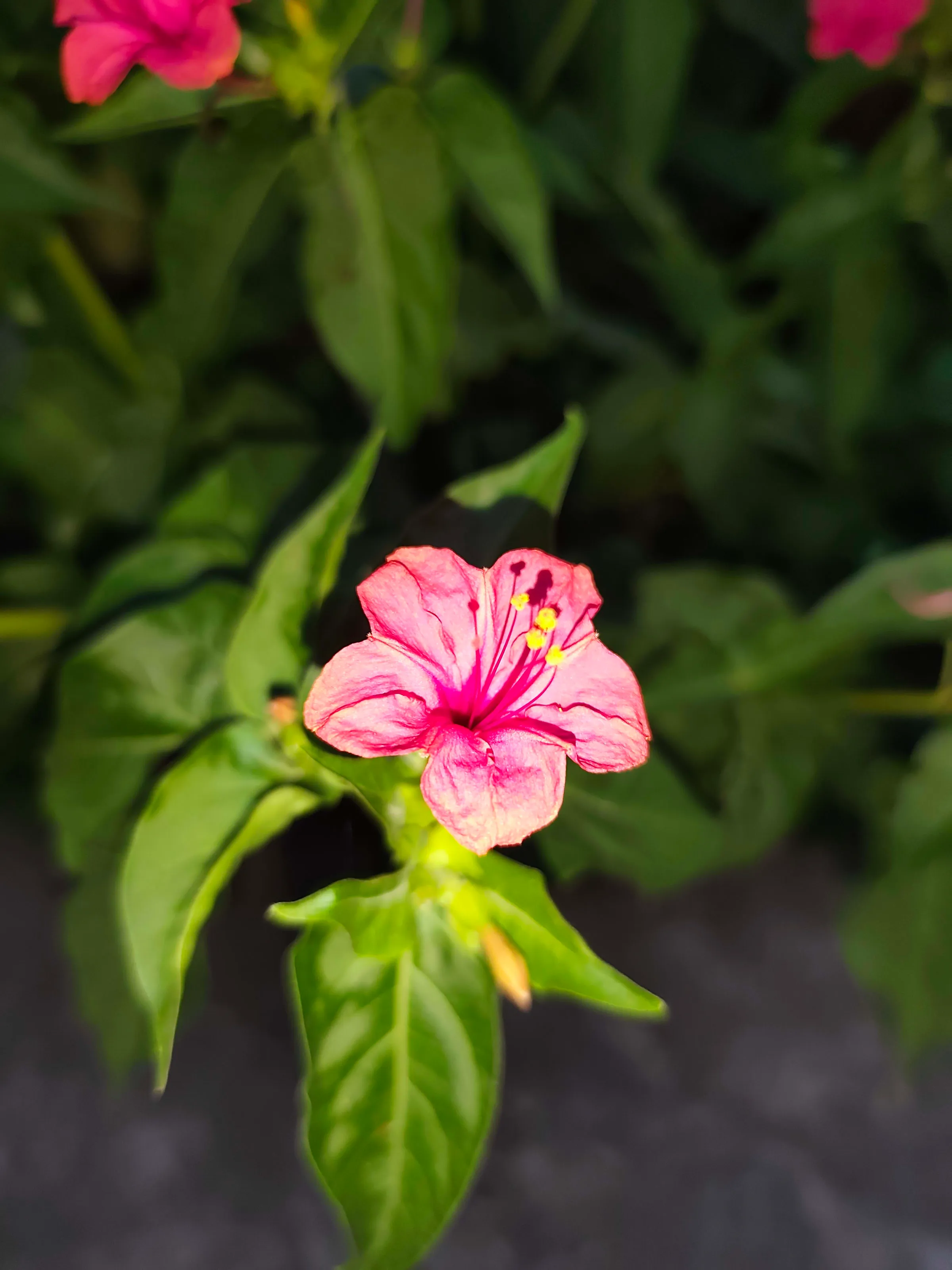 IMG_20250702_195513_bbdjcp