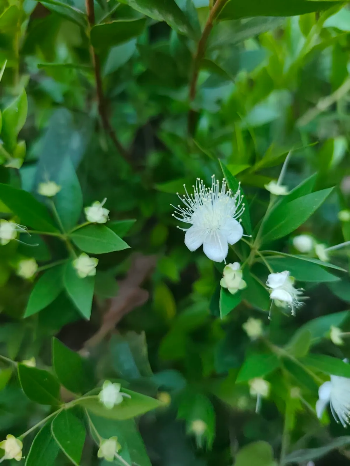 IMG_20250704_181055_f0bzi6