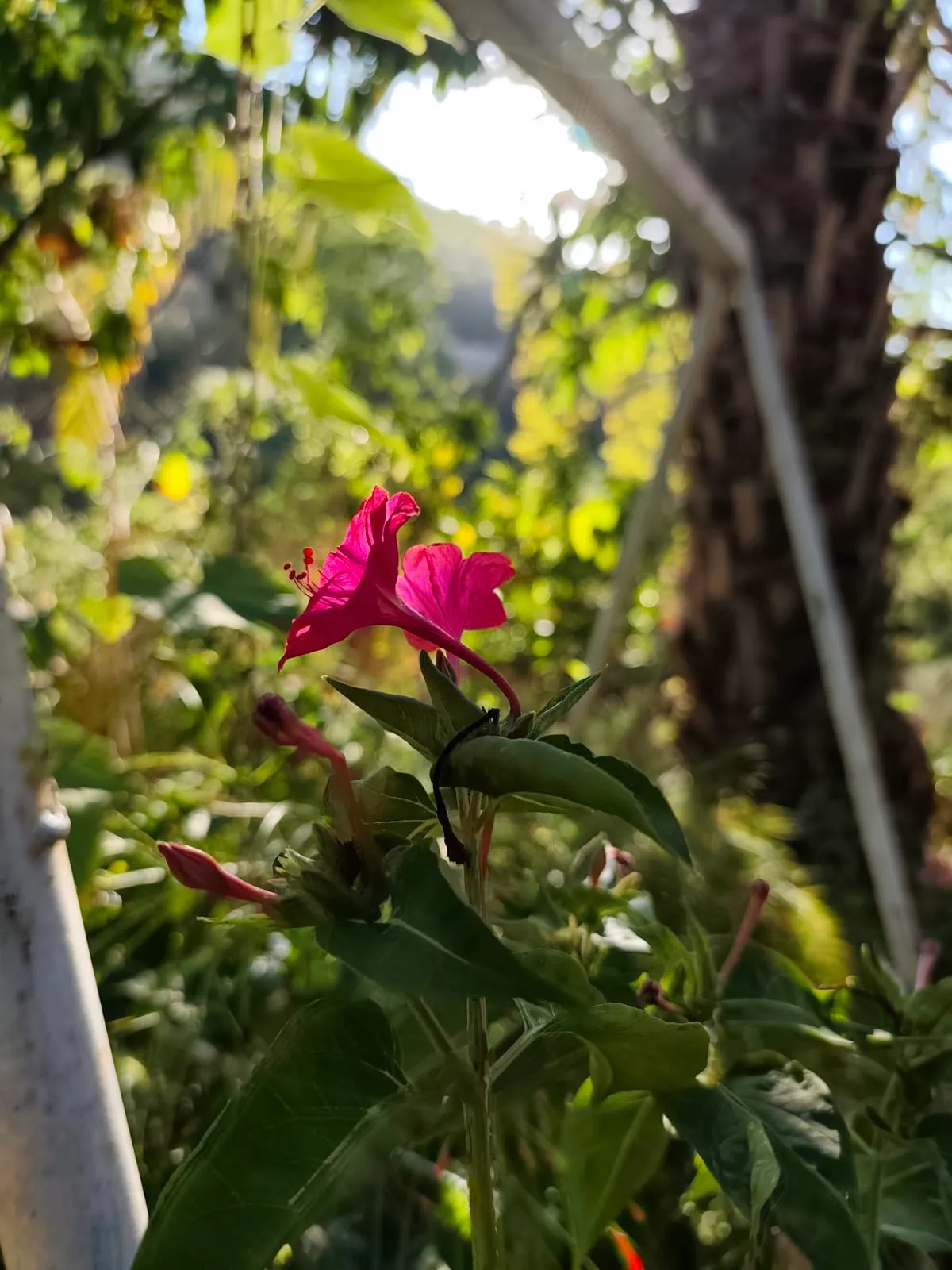 IMG_20250707_175746_rokcgi