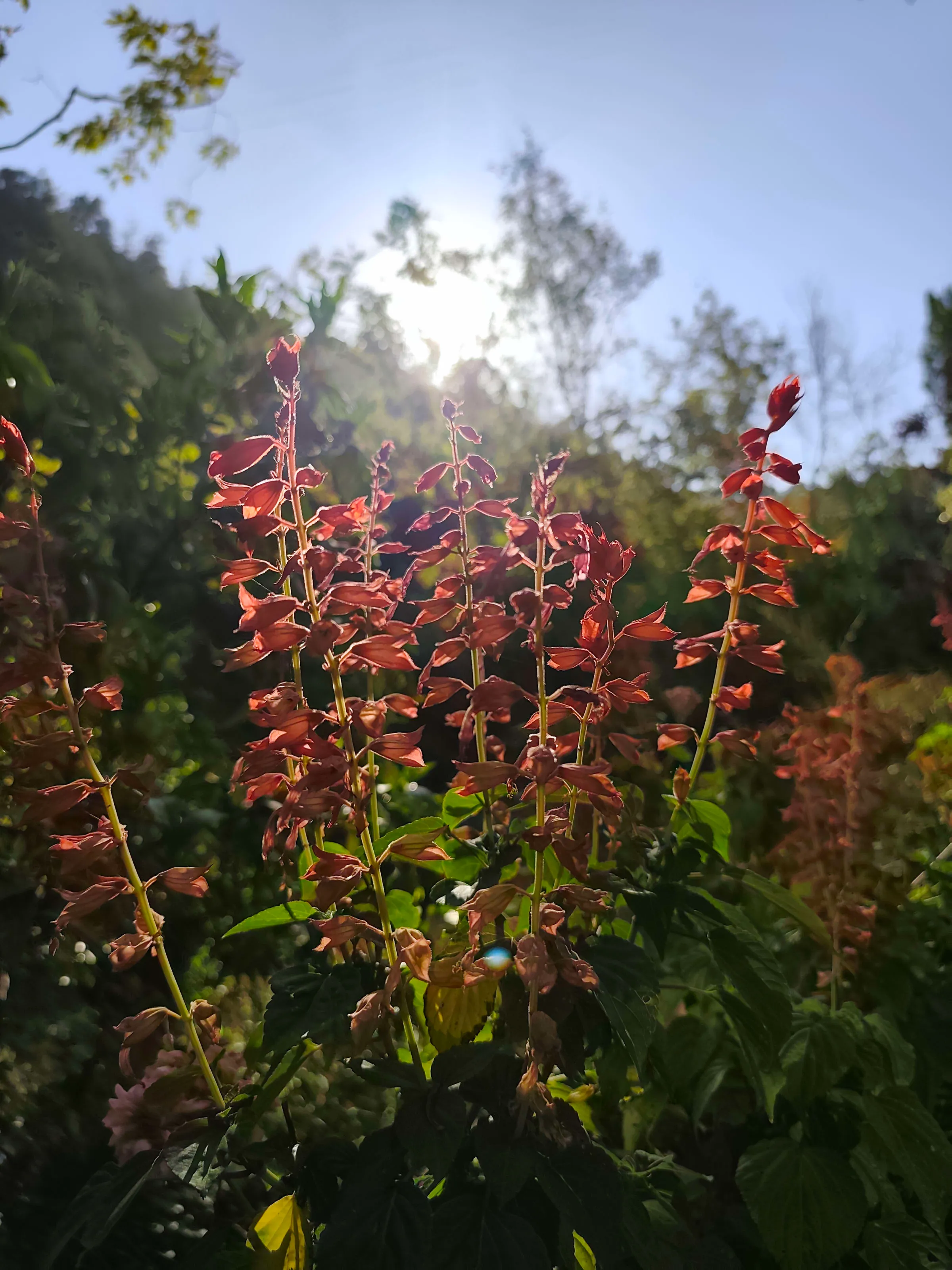 IMG_20250707_175802_aj6y4o