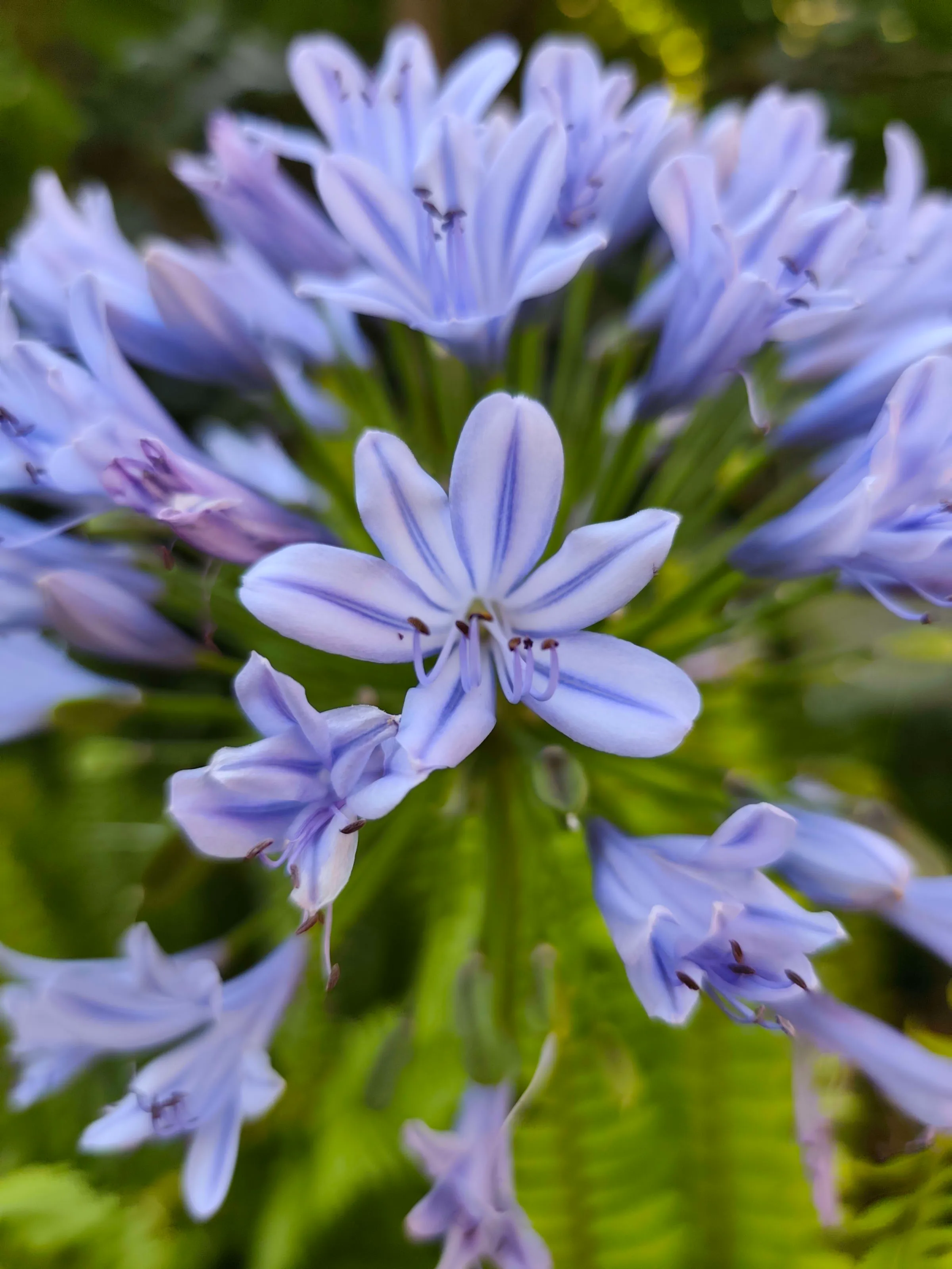 IMG_20250707_175821_hggyqn