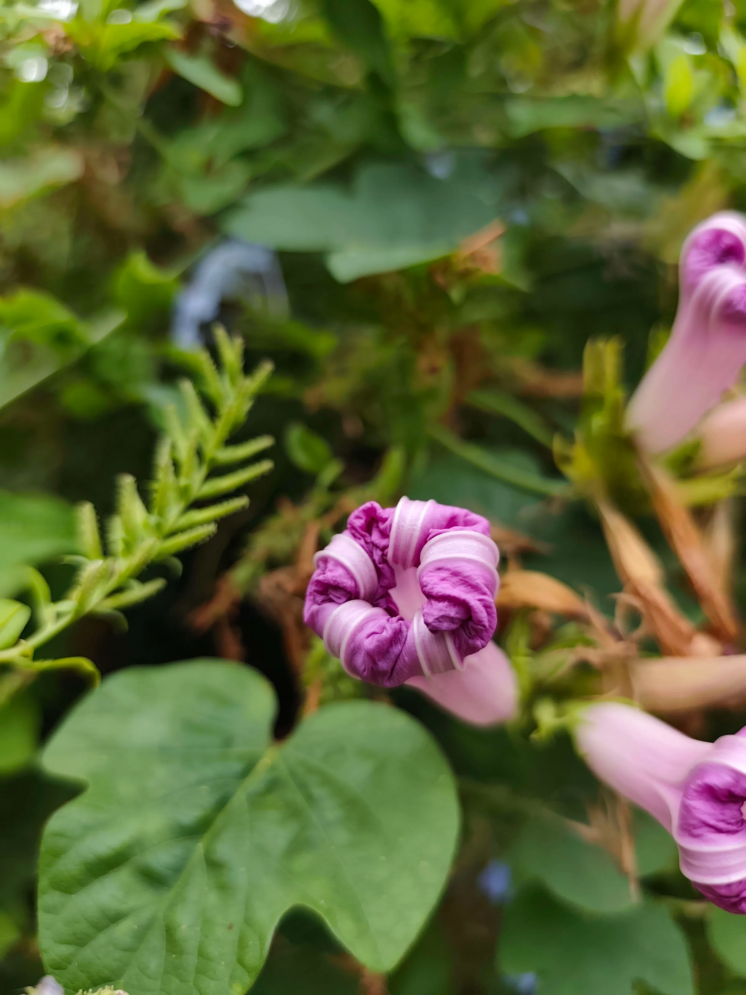 IMG_20250714_162204_e9pkqx